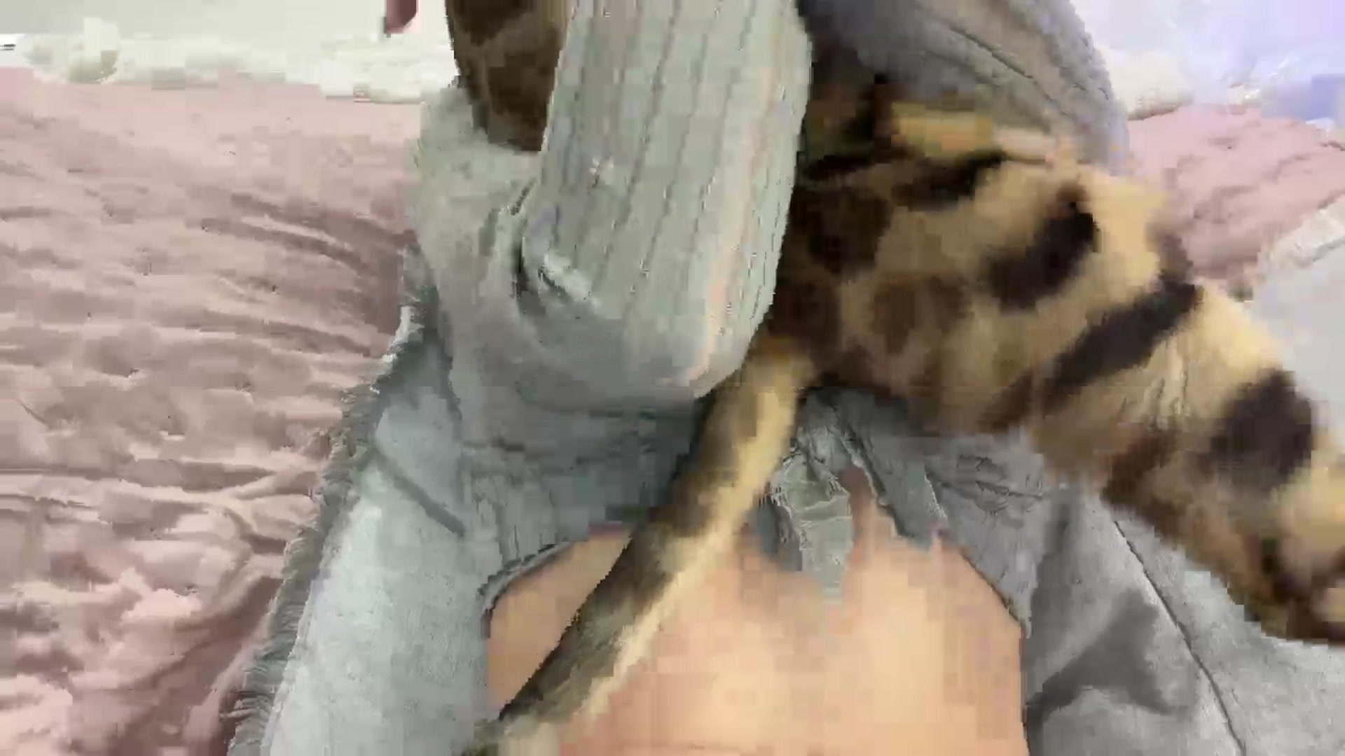 Gallery image thumbnail from StellaHills's myfreecams stream on, 03/12/2025, 10:55 image 12 of 20