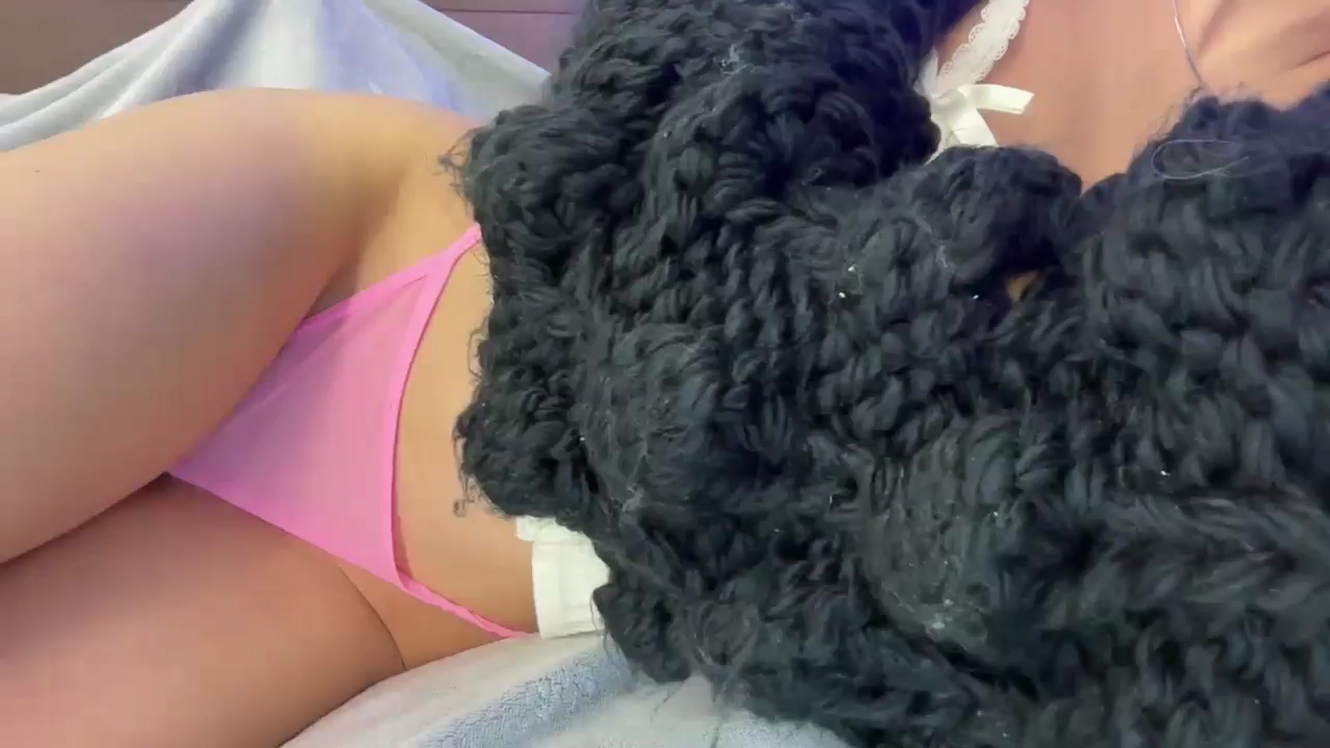 Gallery image thumbnail from StellaHills's myfreecams stream on, 03/15/2025, 12:53 image 8 of 20