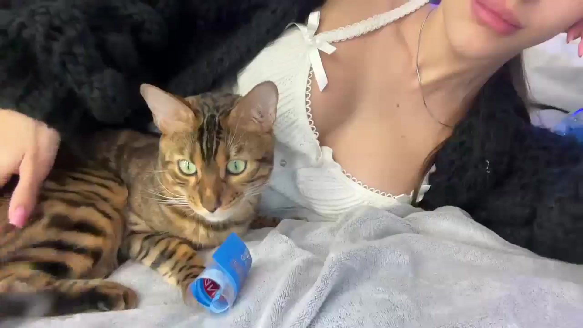 Gallery image thumbnail from StellaHills's myfreecams stream on, 03/15/2025, 12:53 image 18 of 20