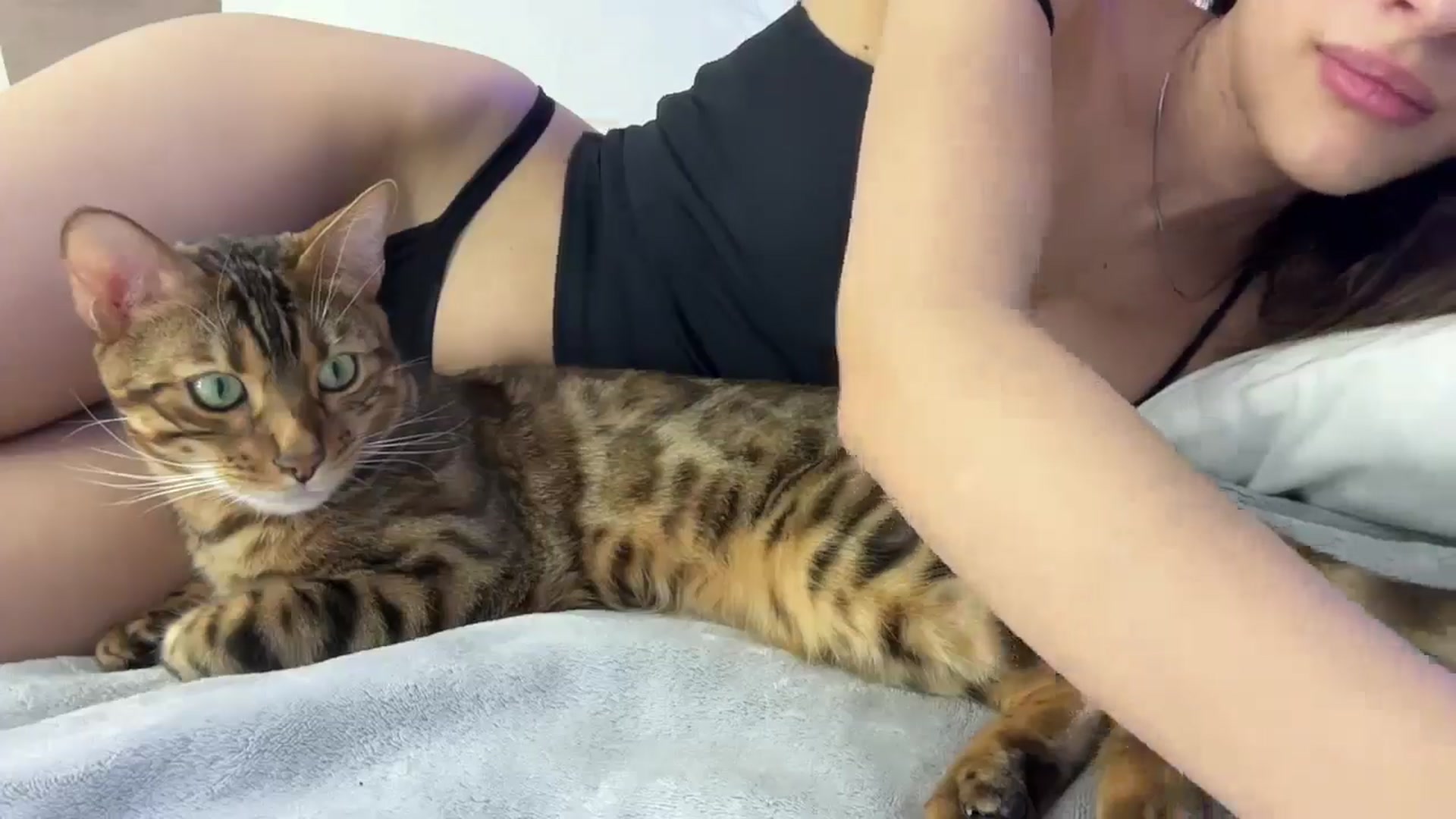 Gallery image thumbnail from StellaHills's myfreecams stream on, 03/20/2025, 13:27 image 18 of 20