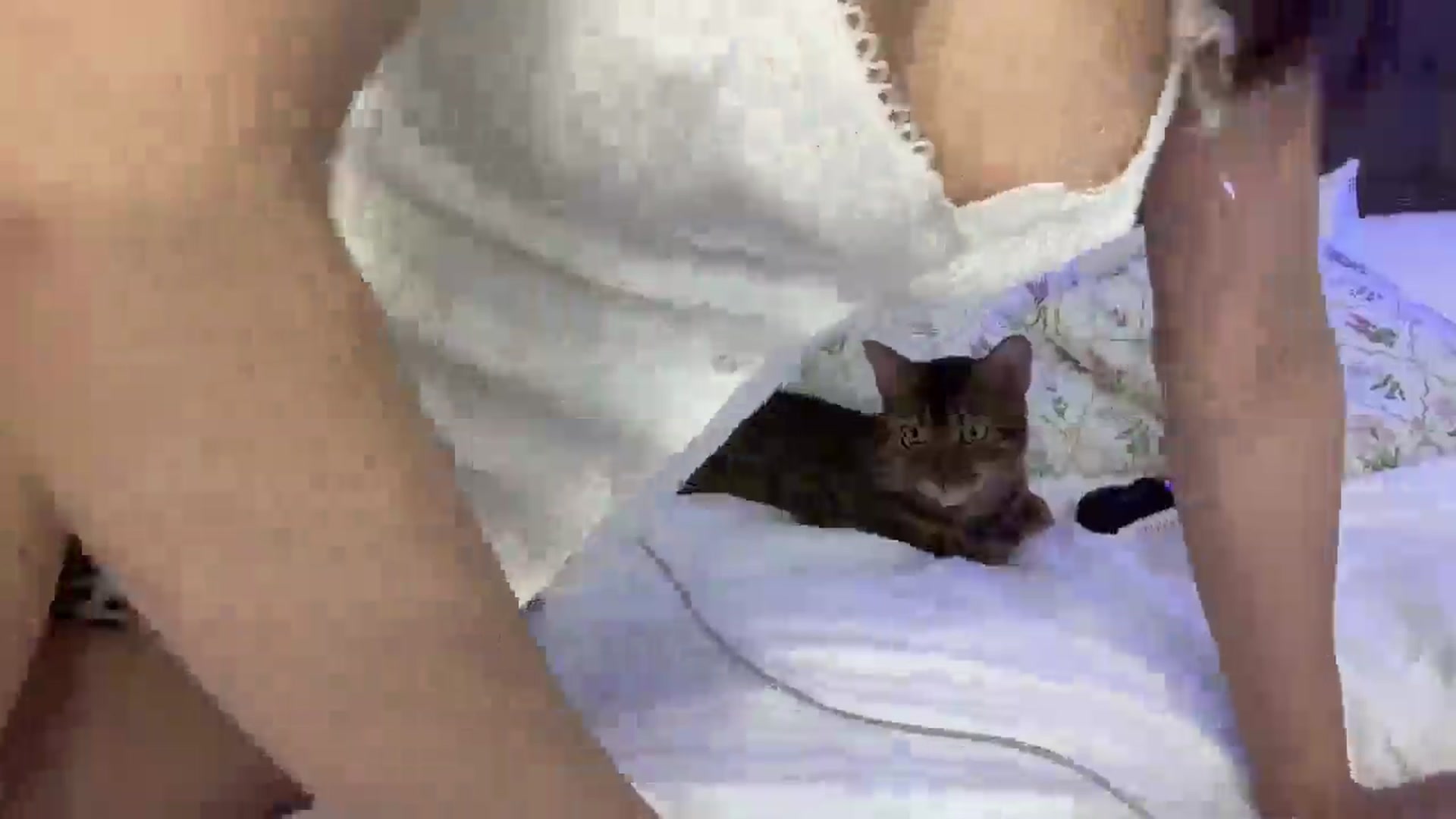 Gallery image thumbnail from StellaHills's myfreecams stream on, 03/26/2025, 10:12 image 15 of 20