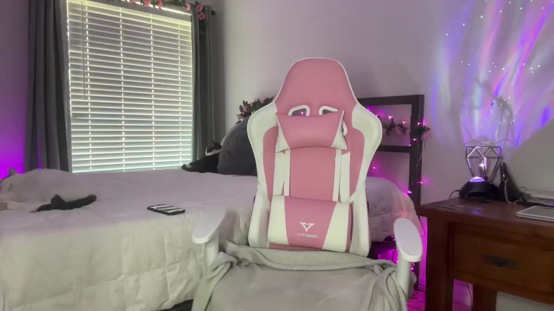 Gallery image thumbnail from StellaRose's myfreecams stream on, 11/11/2024, 20:28 image 7 of 20