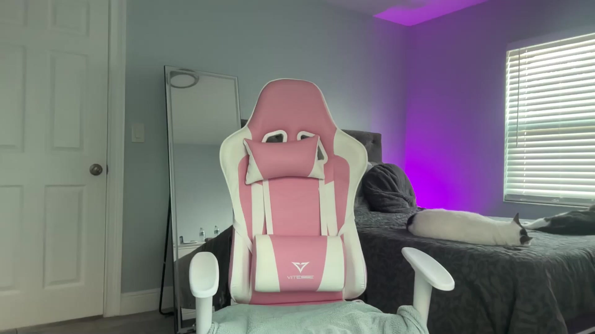 Gallery image thumbnail from StellaRose's myfreecams stream on, 12/05/2024, 21:59 image 1 of 20