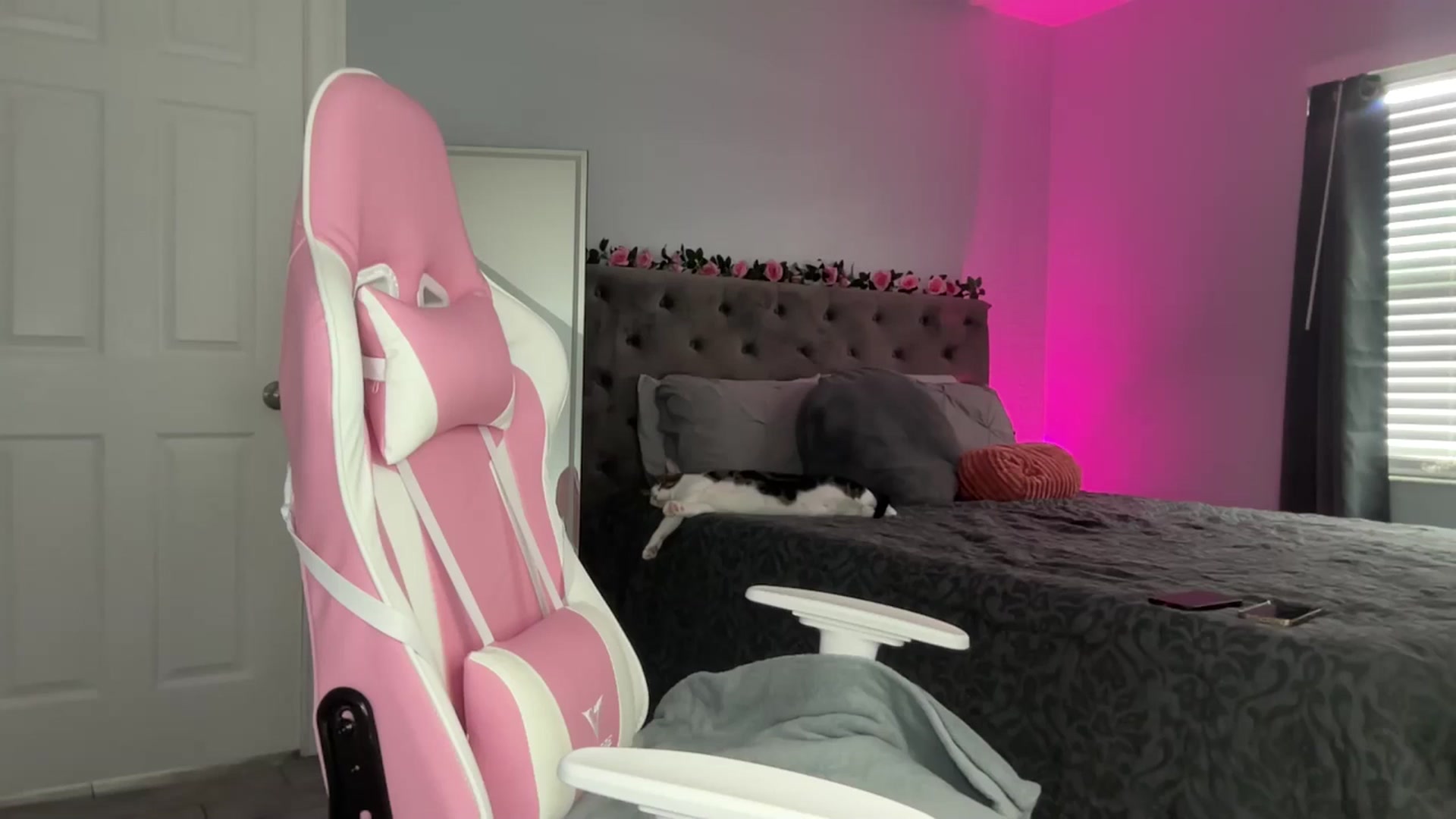 Gallery image thumbnail from StellaRose's myfreecams stream on, 02/02/2025, 19:57 image 18 of 20