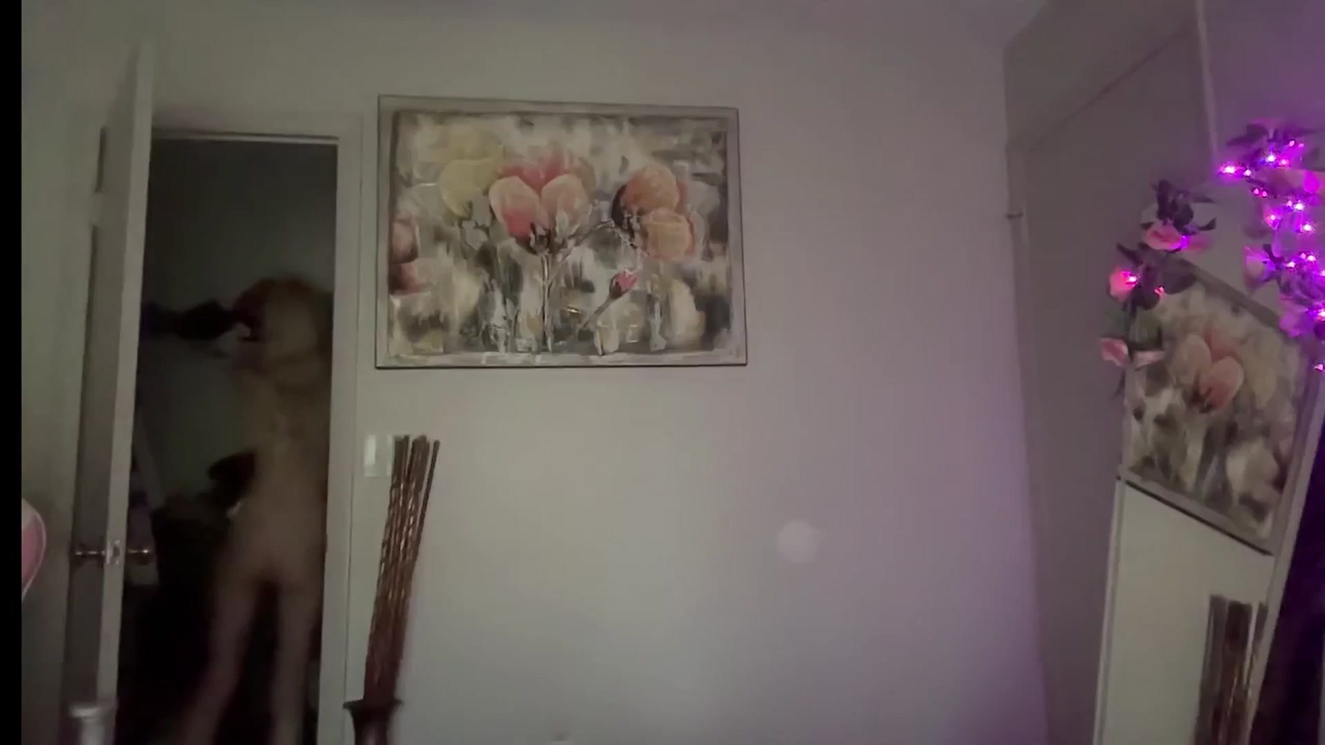 Gallery image thumbnail from StellaRose's myfreecams stream on, 03/16/2026, 22:05 image 4 of 20