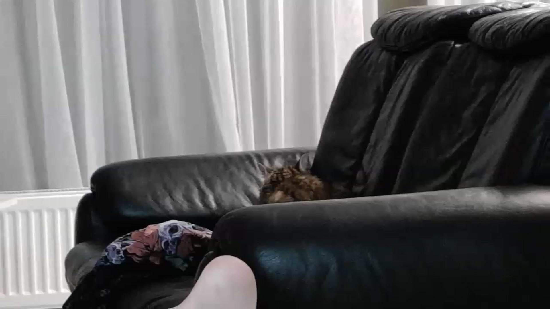 Gallery image thumbnail from StellaSol's myfreecams stream on, 07/24/2023, 21:53 image 6 of 20