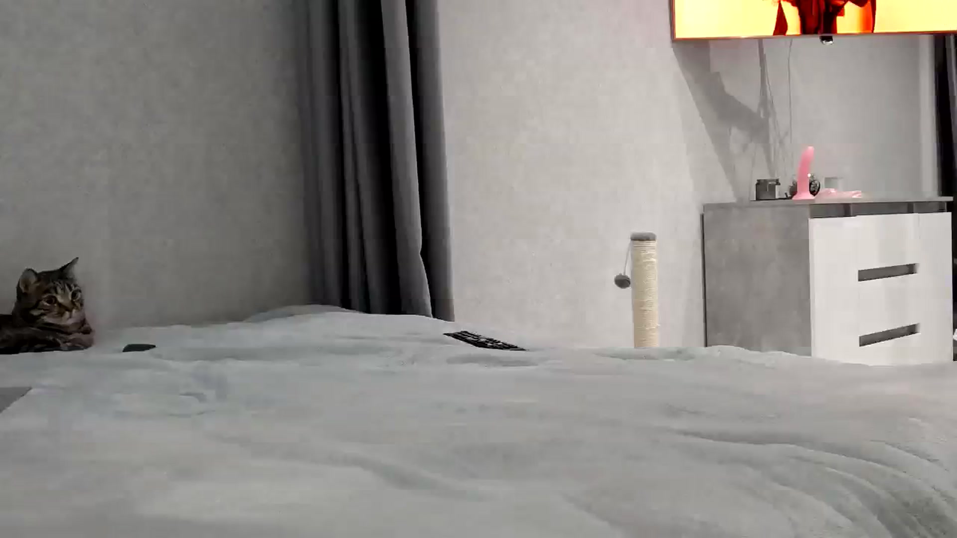Gallery image thumbnail from StellaSol's myfreecams stream on, 09/15/2023, 22:59 image 5 of 20