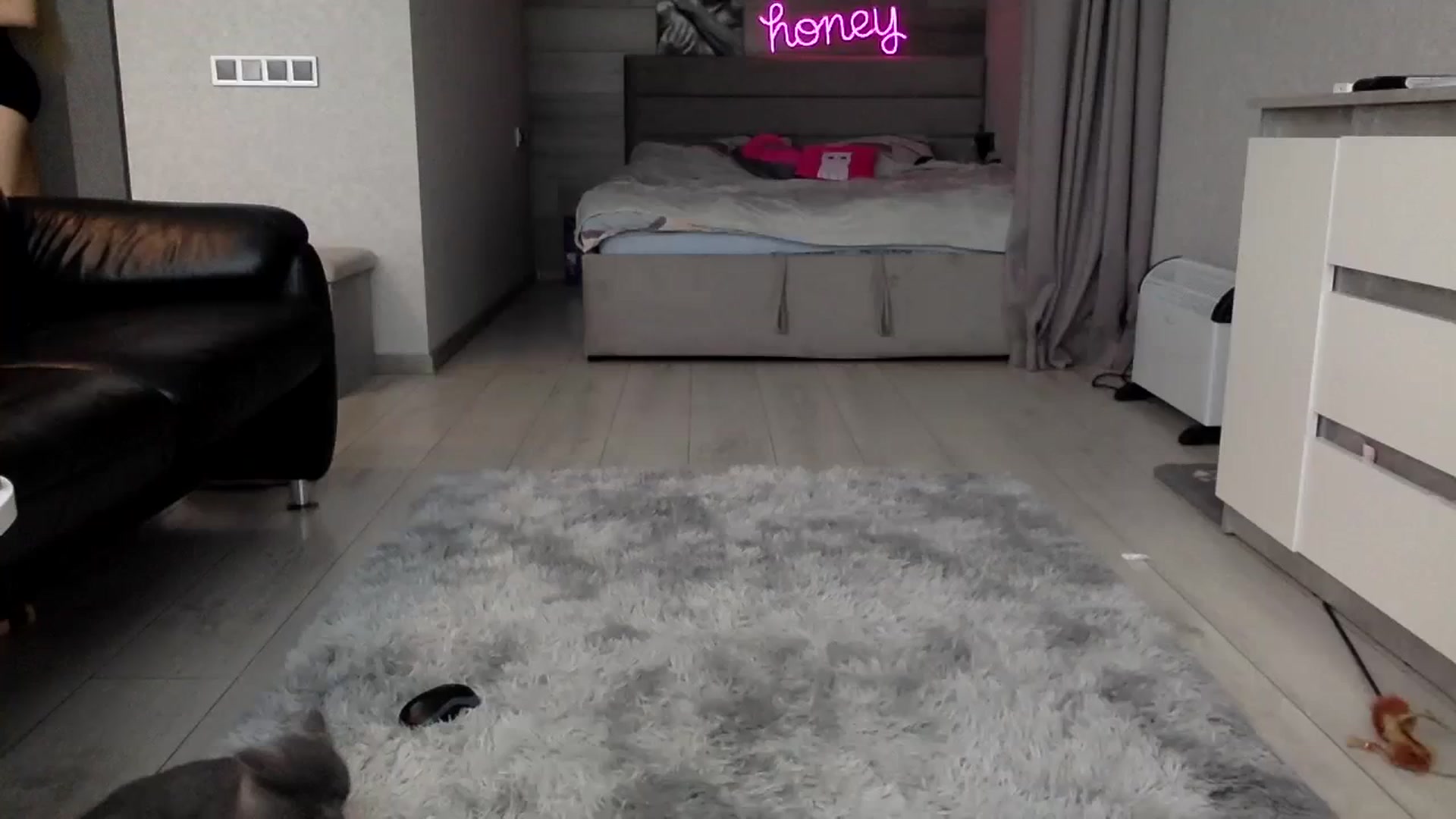 Gallery image thumbnail from StellaSol's myfreecams stream on, 11/19/2023, 10:22 image 13 of 20