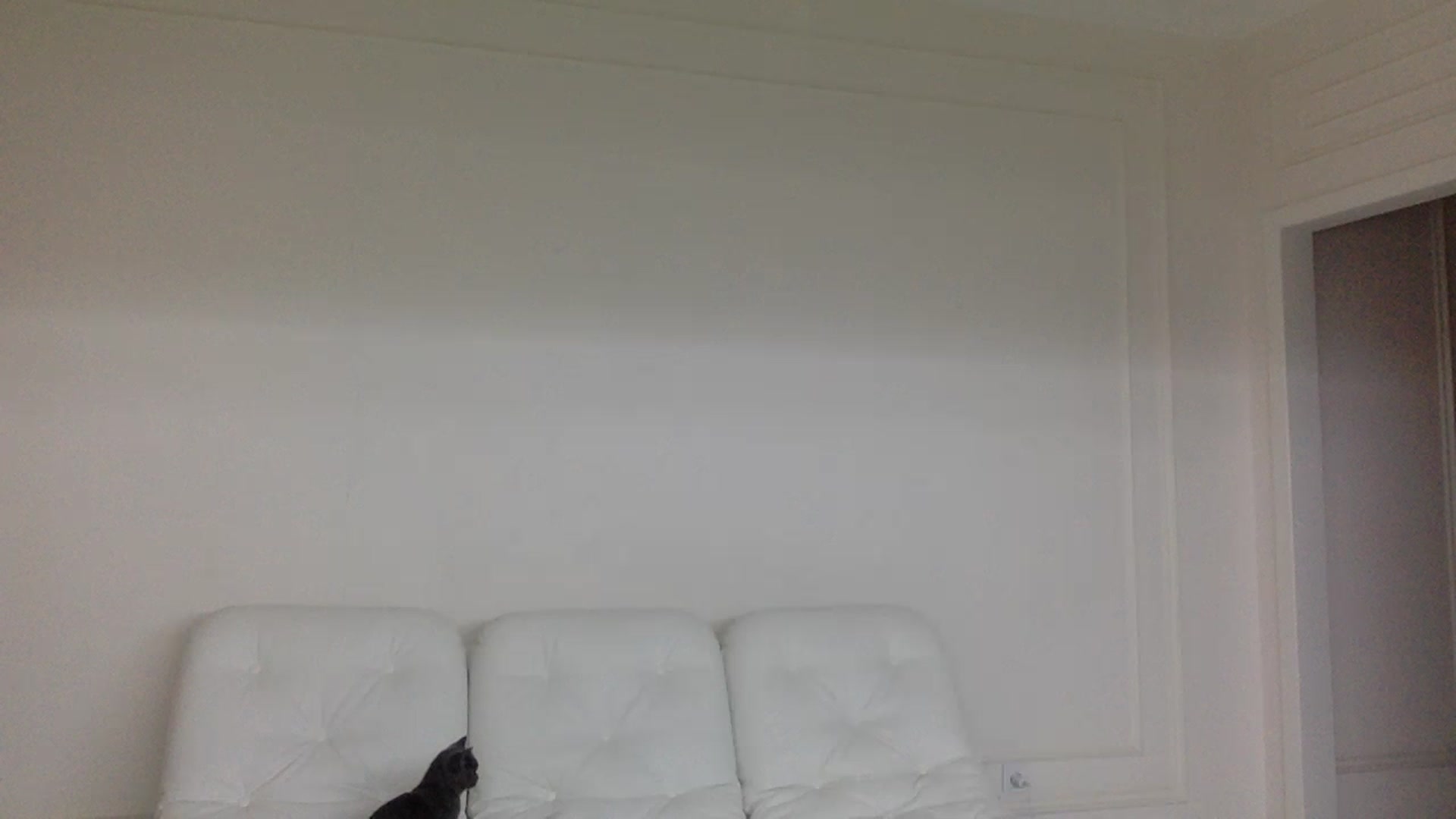 Gallery image thumbnail from StellaSol's myfreecams stream on, 12/14/2023, 10:34 image 1 of 20