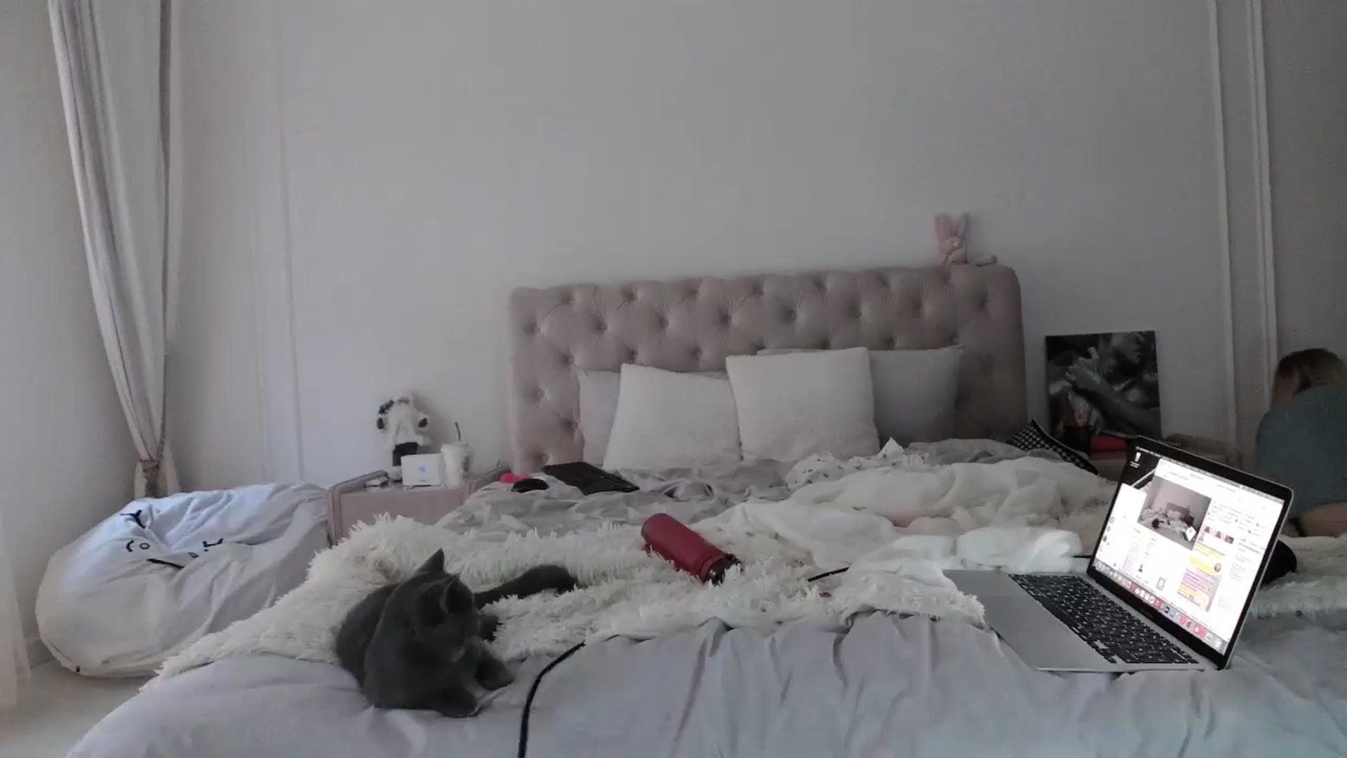 Gallery image thumbnail from StellaSol's myfreecams stream on, 01/06/2024, 13:09 image 17 of 20