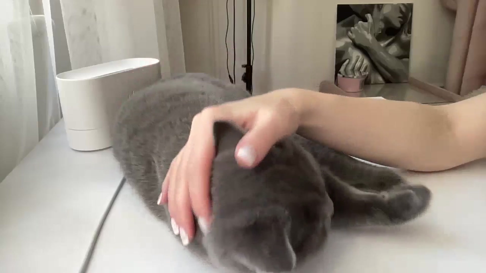 Gallery image thumbnail from StellaSol's myfreecams stream on, 03/17/2024, 14:20 image 7 of 20