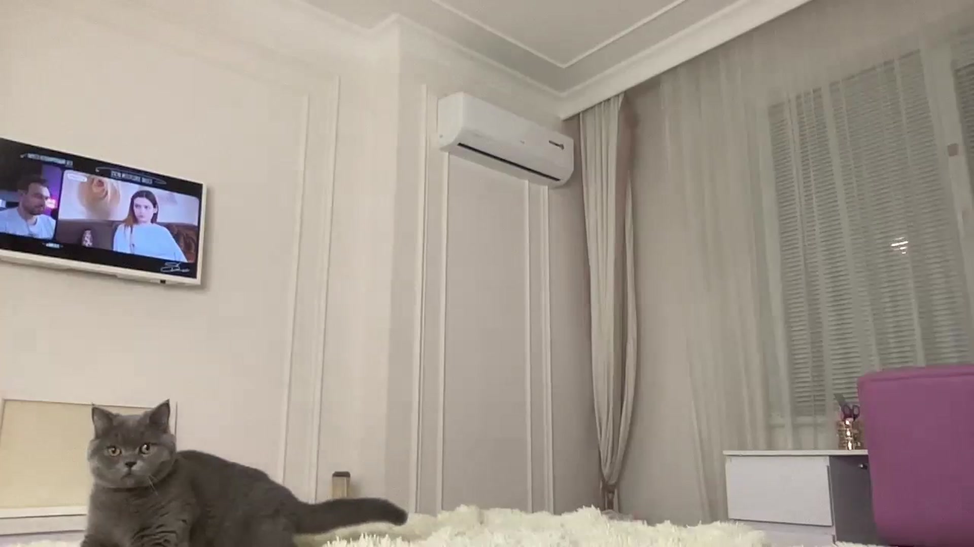 Gallery image thumbnail from StellaSol's myfreecams stream on, 04/12/2024, 17:22 image 14 of 20
