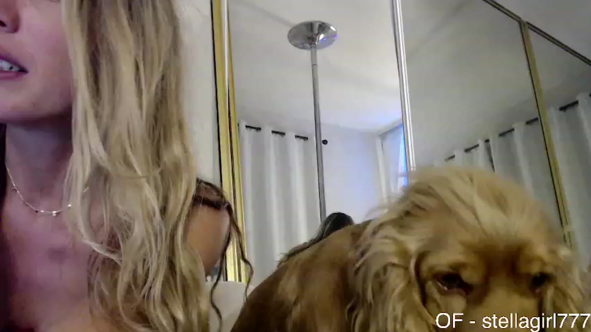 Gallery image thumbnail from Stellababe777's myfreecams stream on, 10/10/2023, 05:10 image 5 of 20