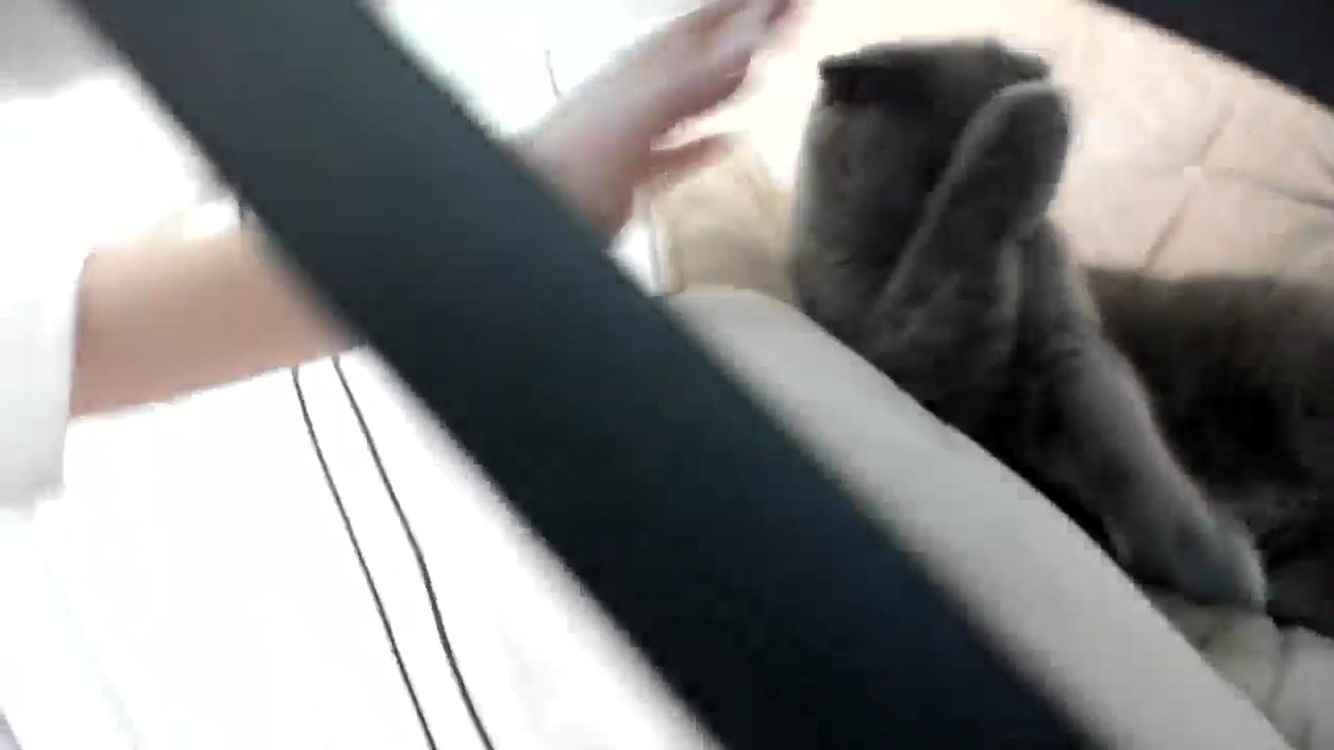 Gallery image thumbnail from StellarBiBi's myfreecams stream on, 03/04/2026, 24:02 image 2 of 20