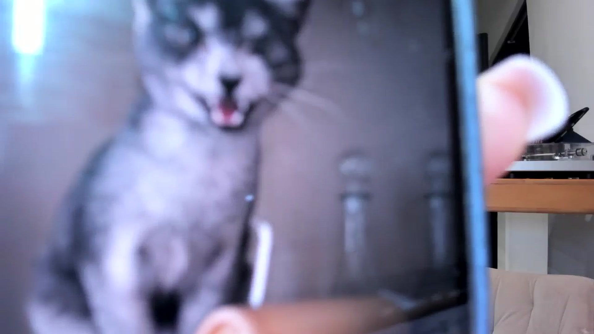 Gallery image thumbnail from StellarBiBi's myfreecams stream on, 03/17/2026, 24:00 image 8 of 20