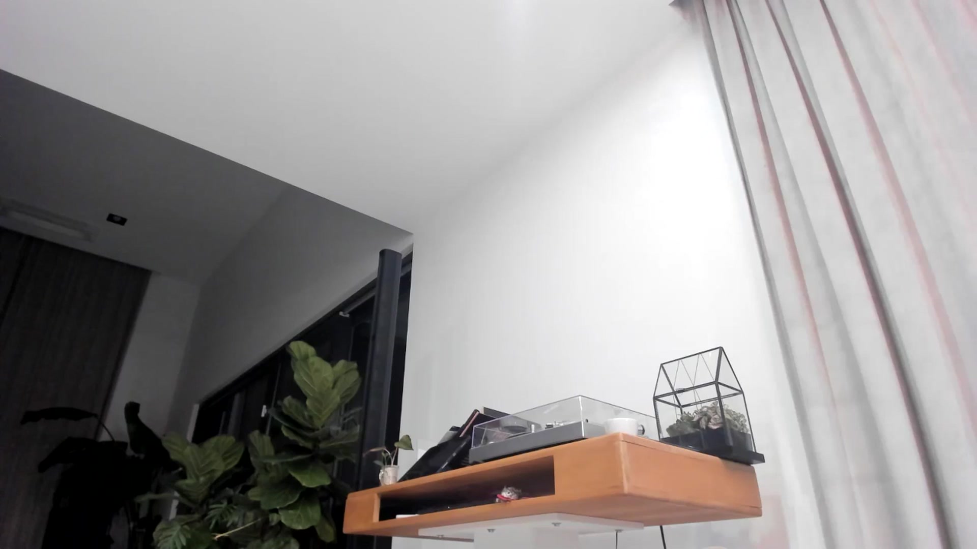 Gallery image thumbnail from StellarBiBi's myfreecams stream on, 04/18/2026, 24:44 image 7 of 20