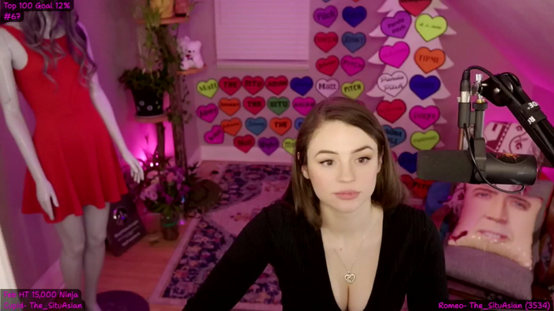 Gallery image thumbnail from StepBrophie's myfreecams stream on, 02/22/2025, 08:08 image 14 of 20