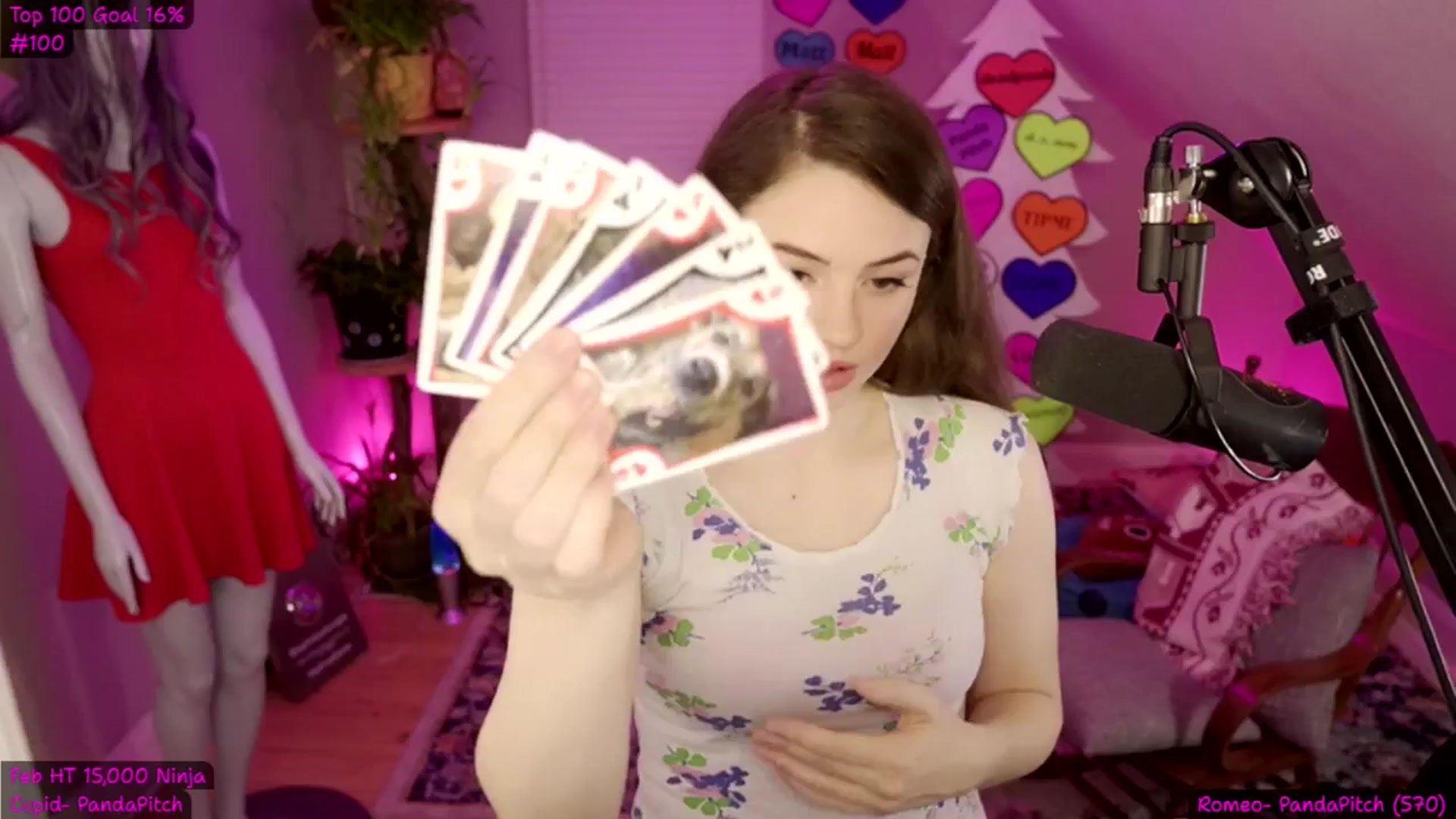 Gallery image thumbnail from StepBrophie's myfreecams stream on, 02/27/2025, 10:15 image 3 of 20