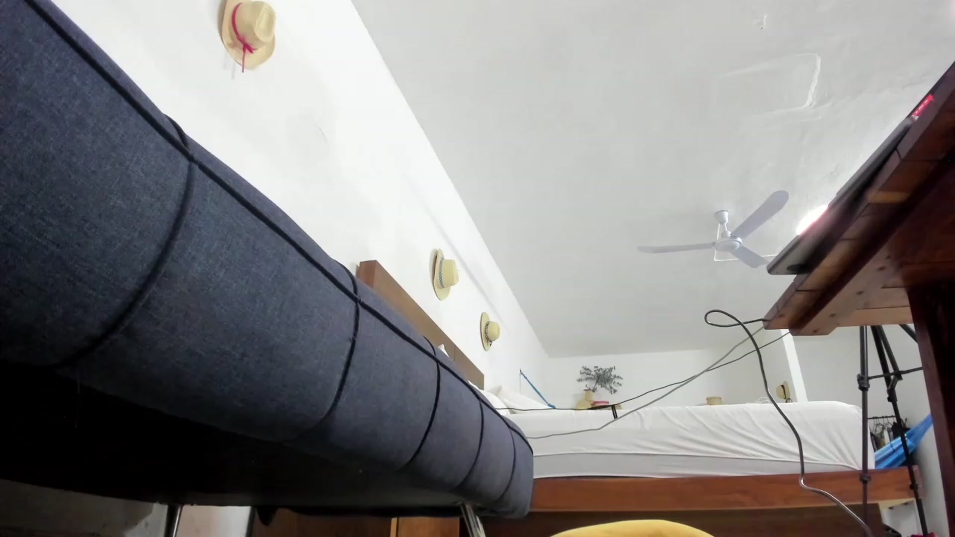 Gallery image thumbnail from Stephanie's myfreecams stream on, 07/30/2023, 09:22 image 4 of 20