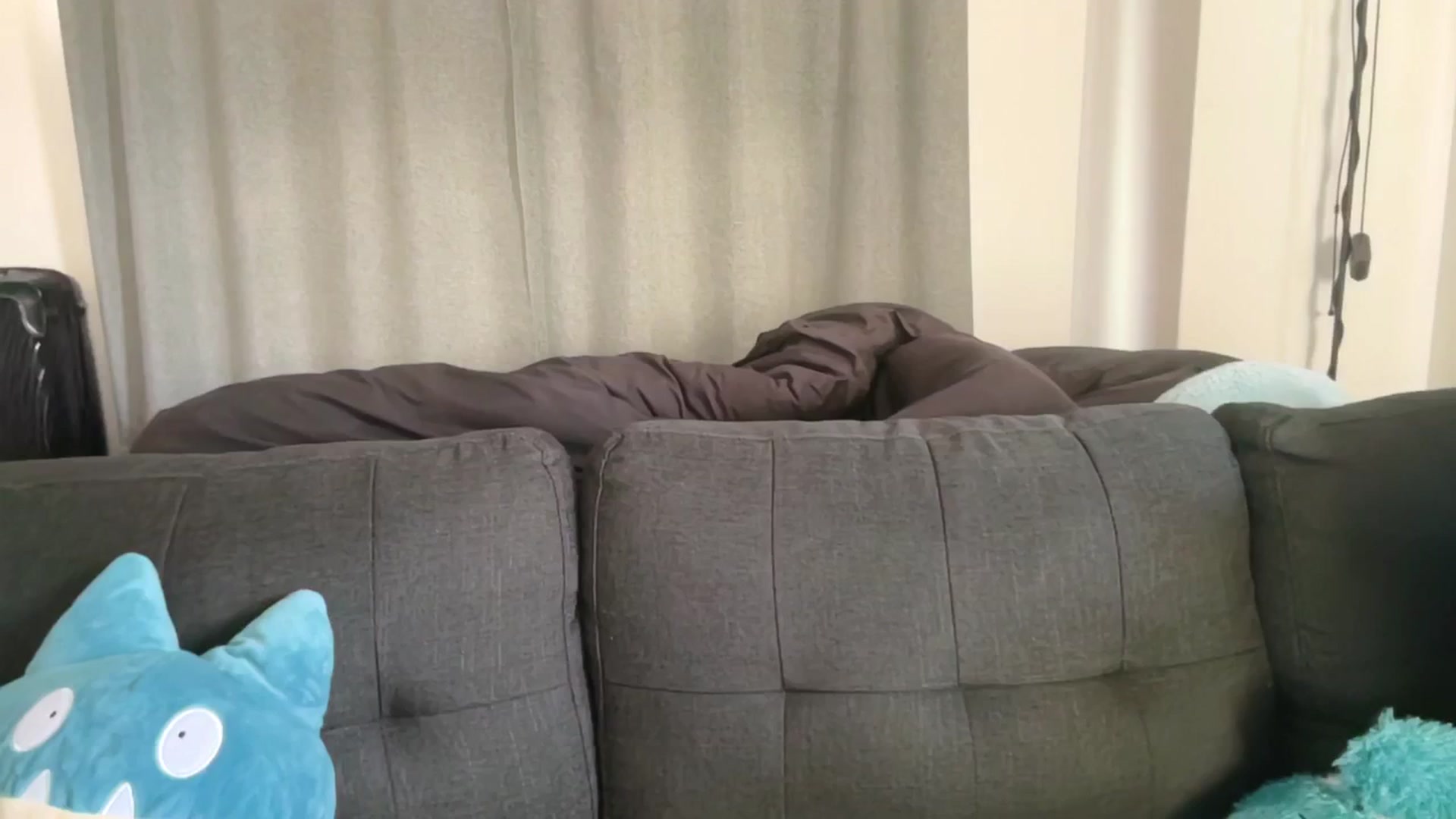 Gallery image thumbnail from Stephanie's myfreecams stream on, 02/19/2025, 08:25 image 16 of 20
