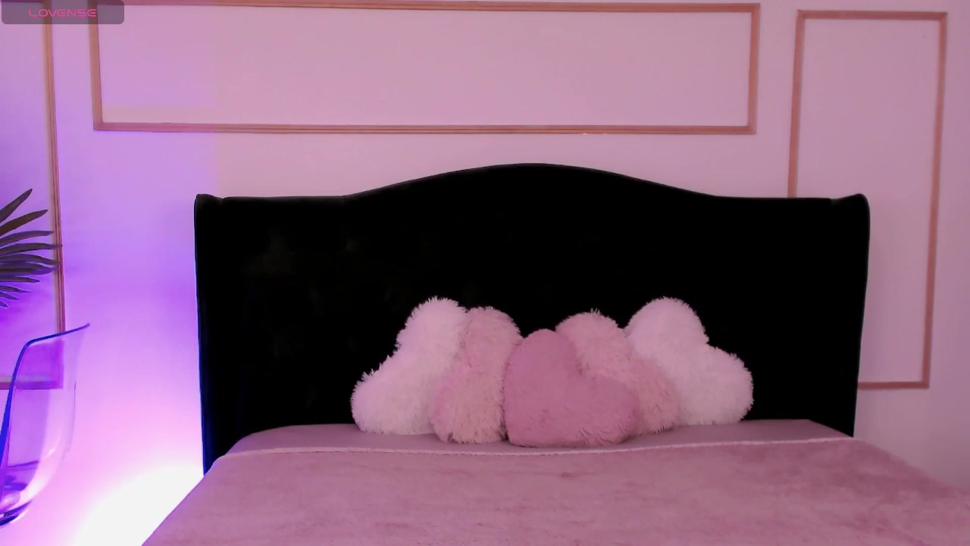 Gallery image thumbnail from StephanieRos's myfreecams stream on, 08/01/2025, 13:22 image 14 of 20