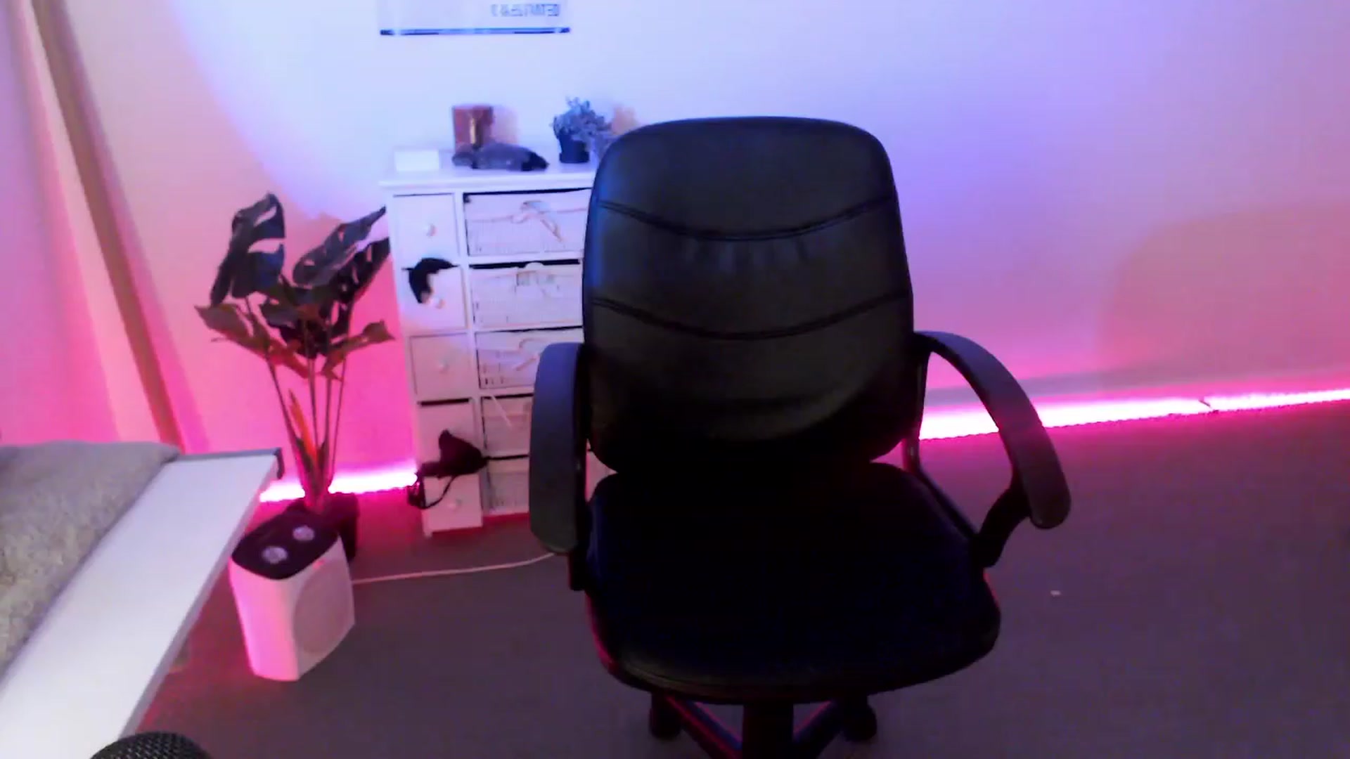 Gallery image thumbnail from StonksRoom's myfreecams stream on, 07/20/2023, 10:55 image 15 of 20
