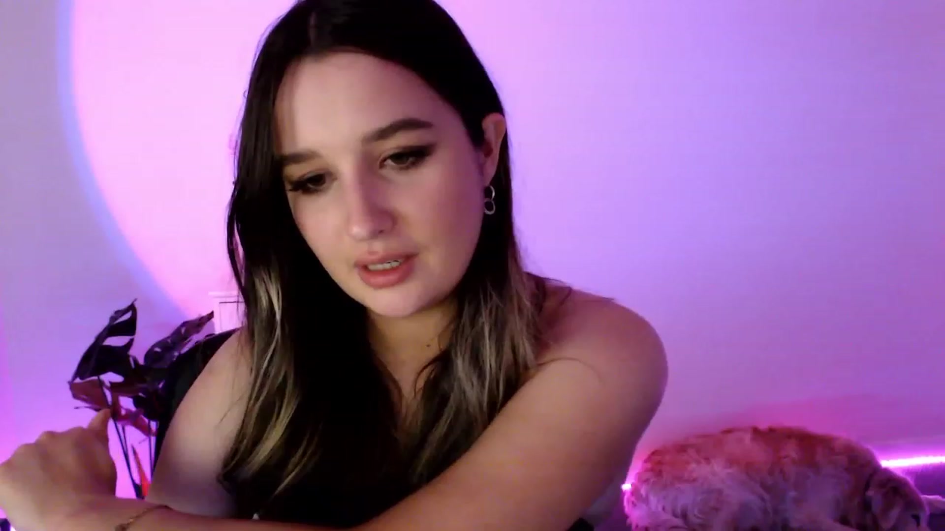 Gallery image thumbnail from StonksRoom's myfreecams stream on, 08/25/2023, 12:02 image 18 of 20