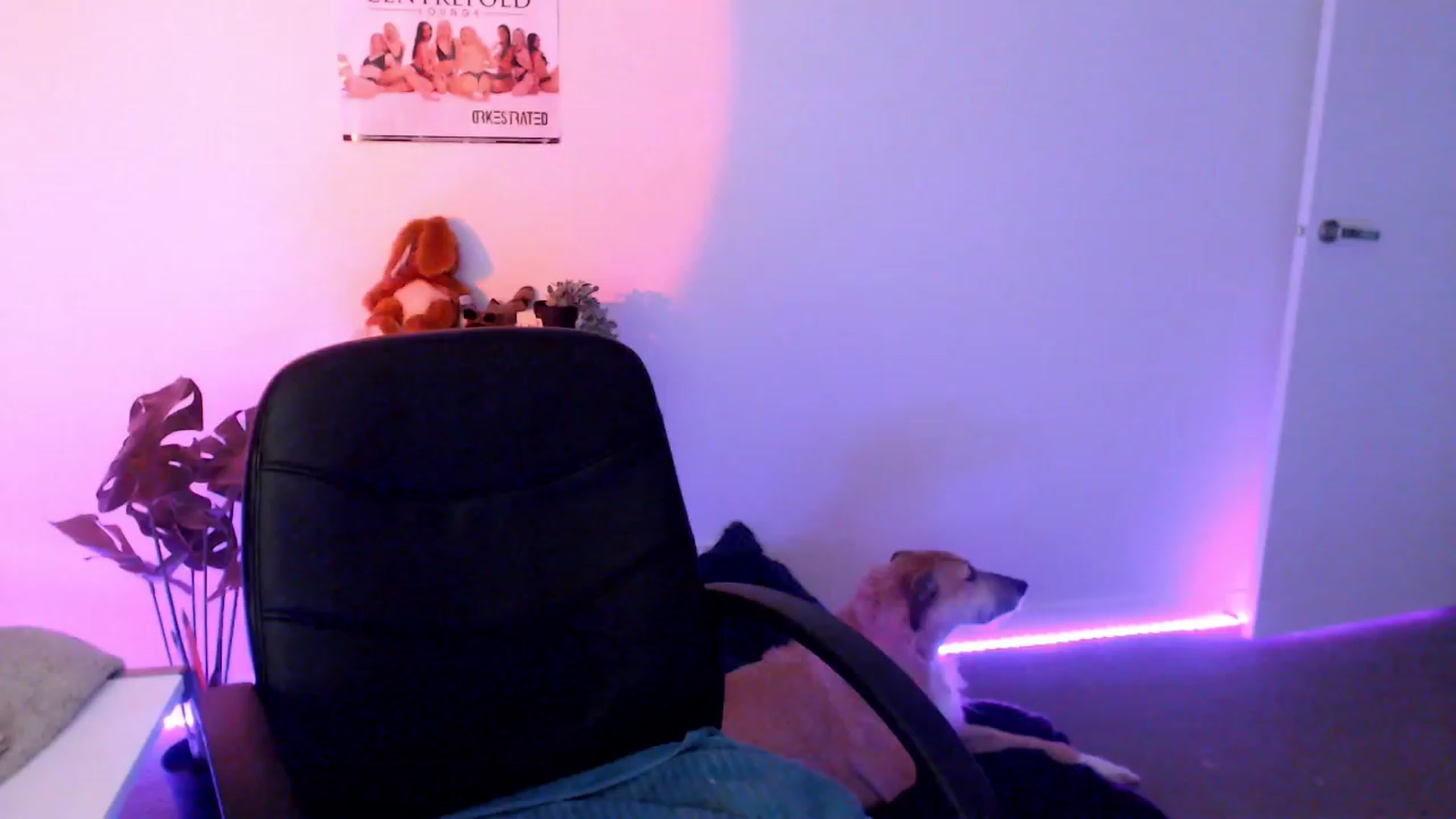 Gallery image thumbnail from StonksRoom's myfreecams stream on, 11/03/2023, 09:47 image 4 of 20