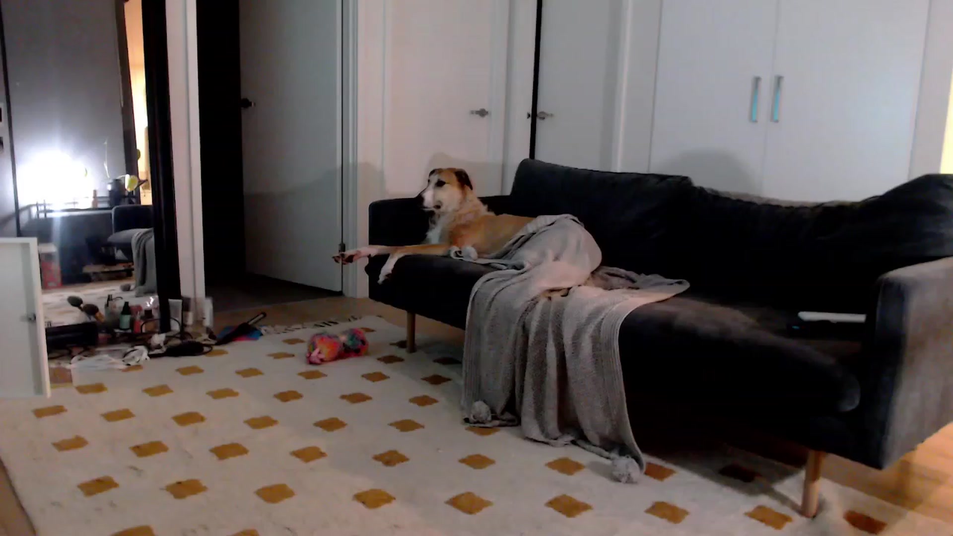 Gallery image thumbnail from StonksRoom's myfreecams stream on, 11/03/2023, 09:47 image 15 of 20
