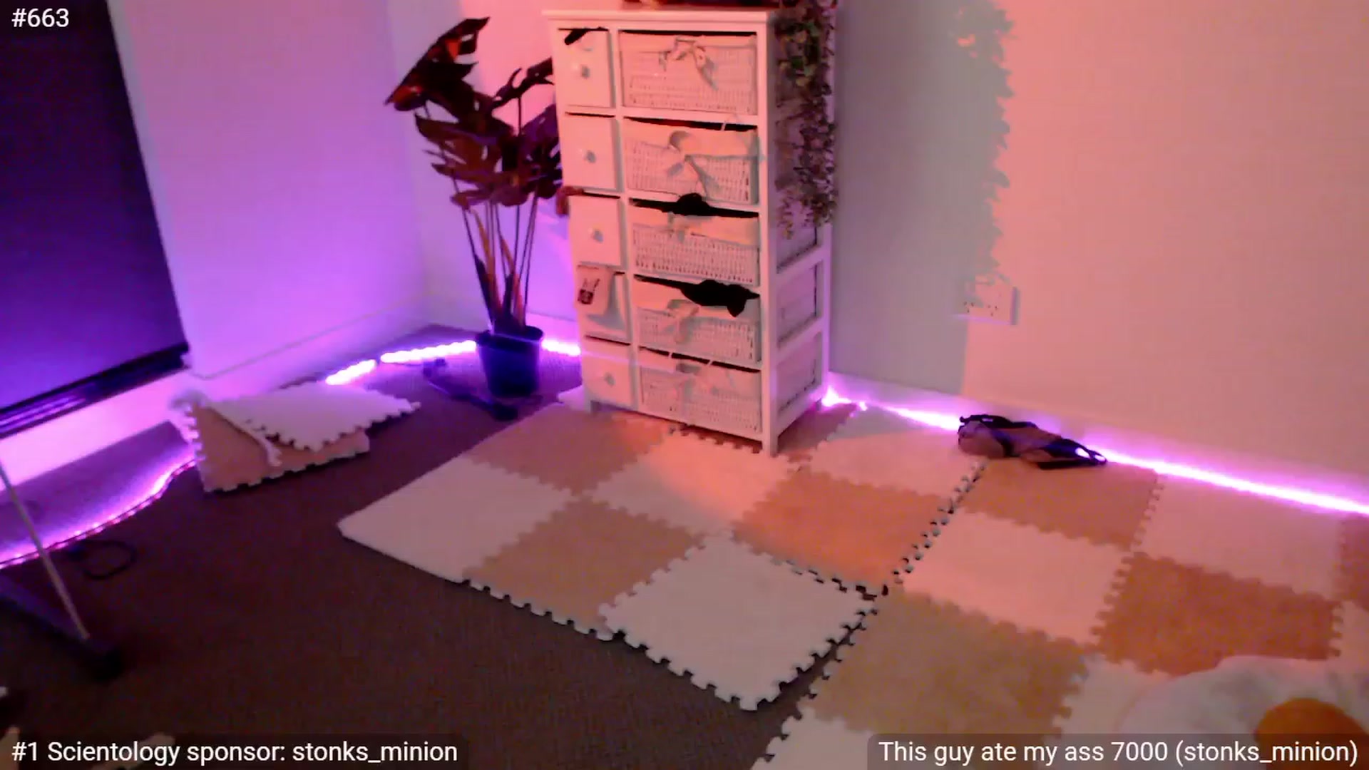 Gallery image thumbnail from StonksRoom's myfreecams stream on, 12/31/2023, 15:42 image 14 of 20