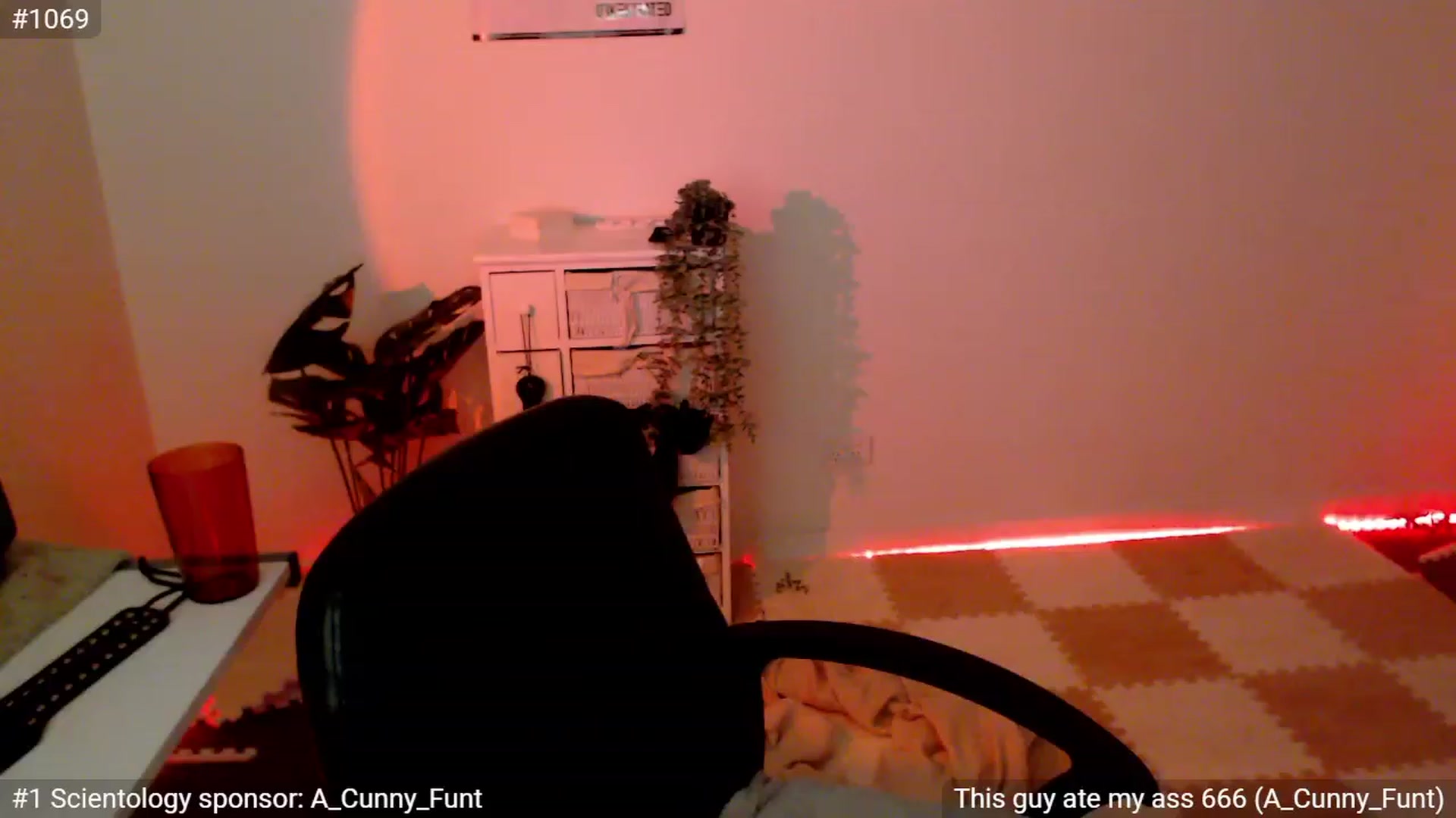 Gallery image thumbnail from StonksRoom's myfreecams stream on, 02/13/2024, 14:05 image 12 of 20