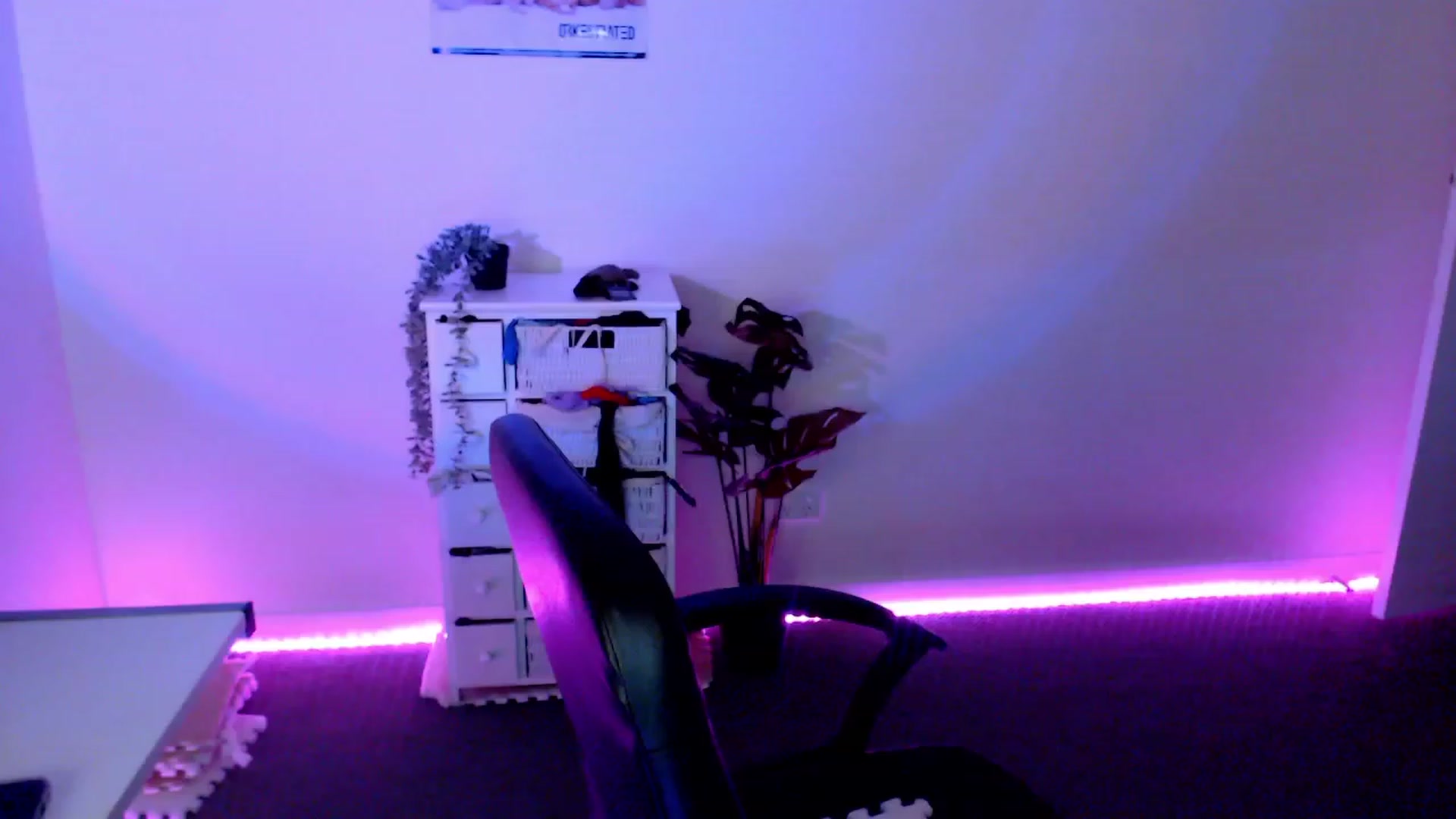 Gallery image thumbnail from StonksRoom's myfreecams stream on, 03/08/2024, 10:24 image 13 of 20