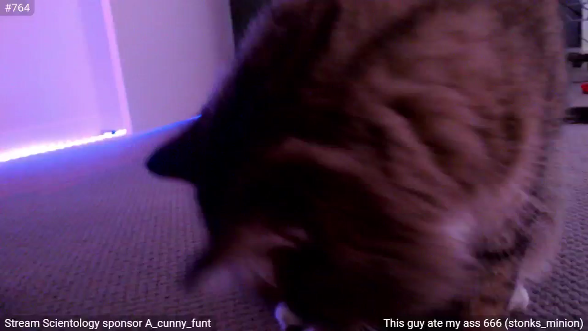 Gallery image thumbnail from StonksRoom's myfreecams stream on, 06/22/2024, 14:00 image 18 of 20