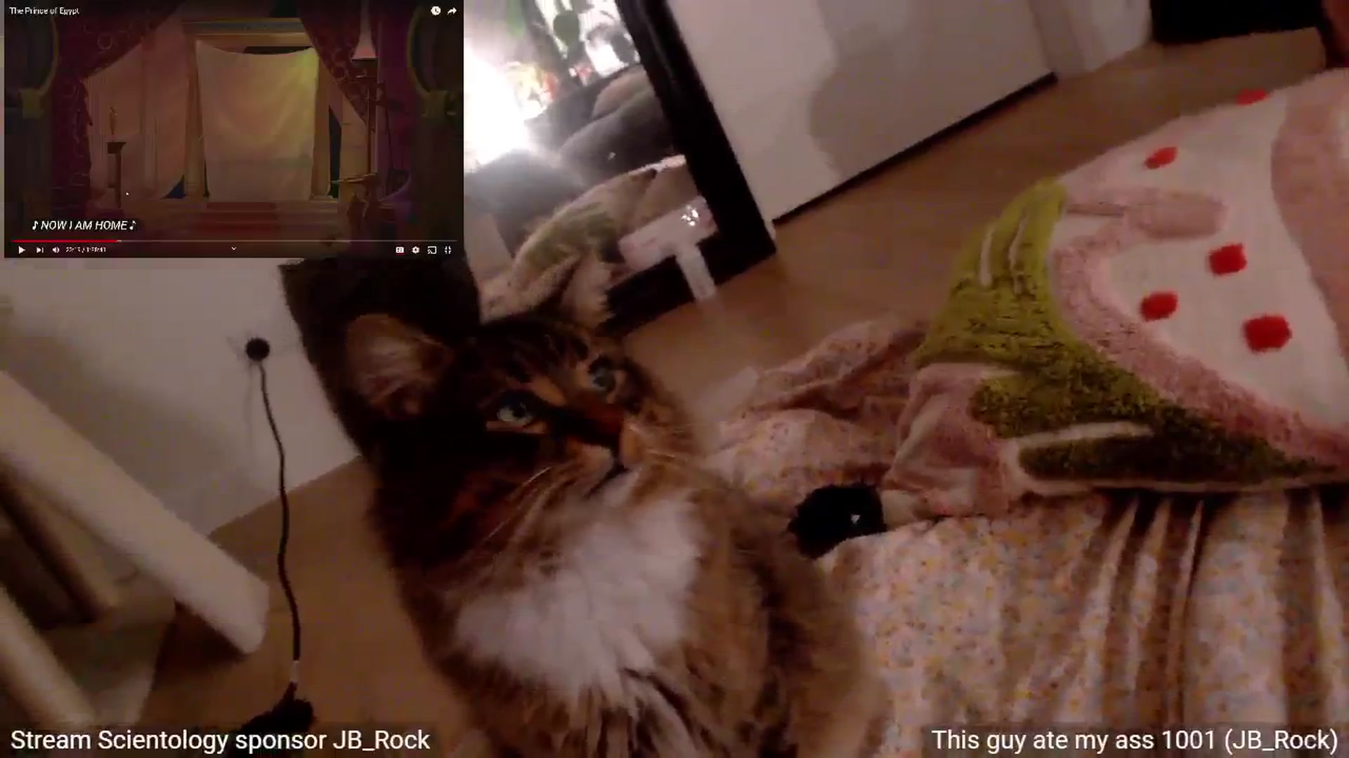 Gallery image thumbnail from StonksRoom's myfreecams stream on, 07/18/2024, 18:13 image 3 of 20