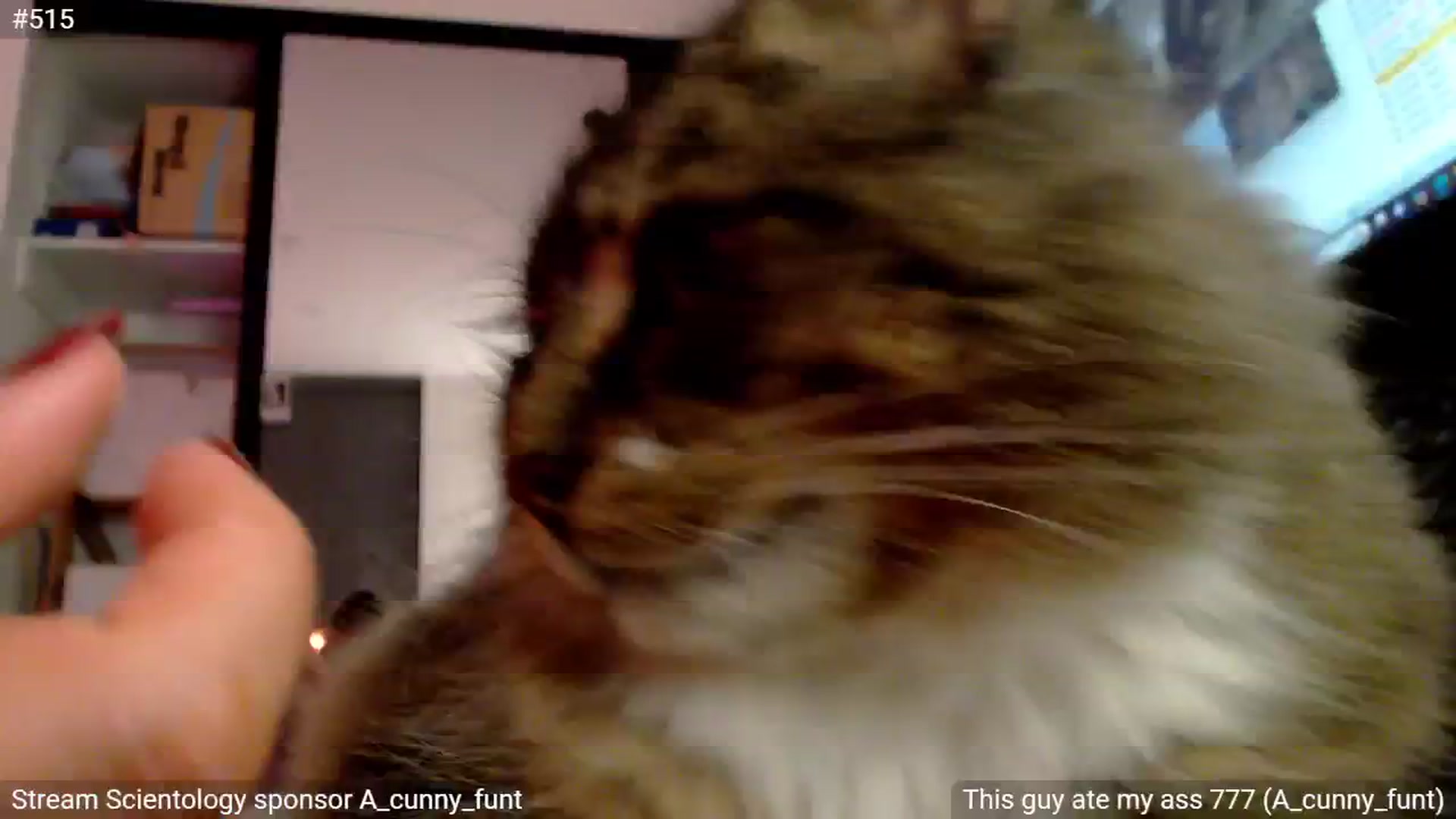Gallery image thumbnail from StonksRoom's myfreecams stream on, 08/24/2024, 15:59 image 8 of 20