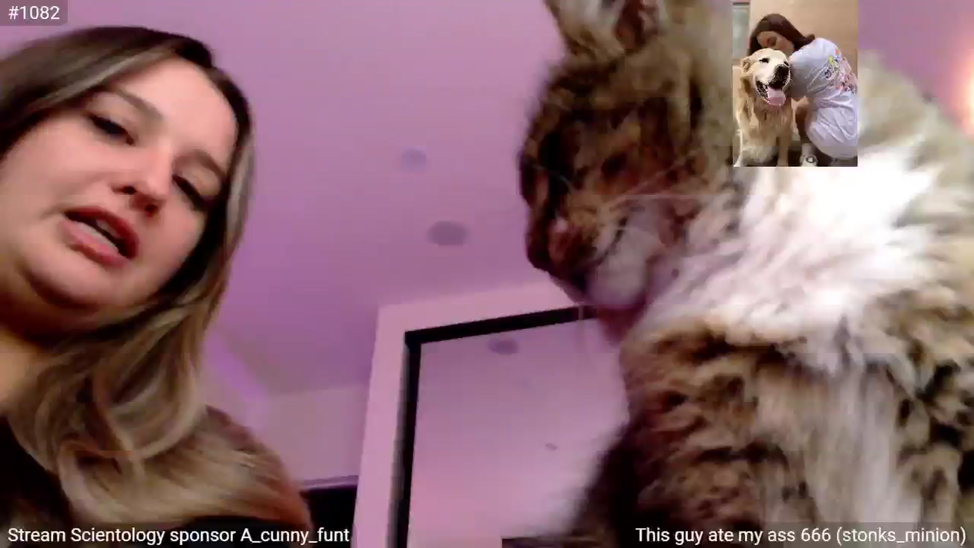 Gallery image thumbnail from StonksRoom's myfreecams stream on, 09/21/2024, 15:07 image 10 of 20