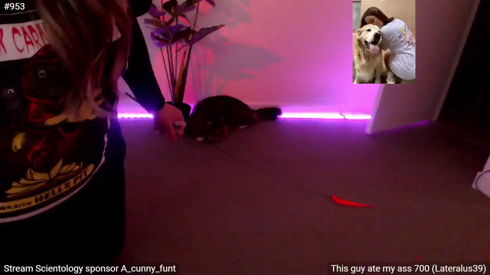 Gallery image thumbnail from StonksRoom's myfreecams stream on, 09/21/2024, 18:44 image 4 of 20