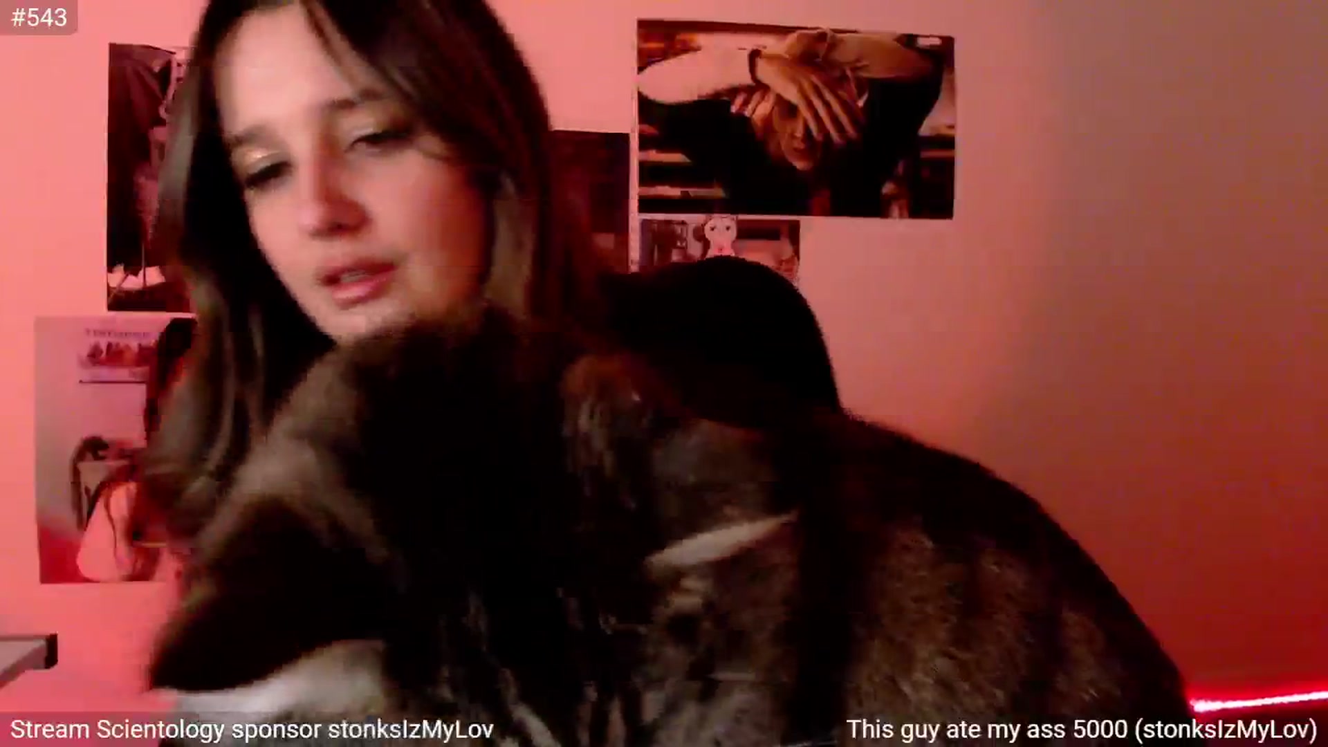 Gallery image thumbnail from StonksRoom's myfreecams stream on, 10/09/2024, 15:08 image 2 of 20