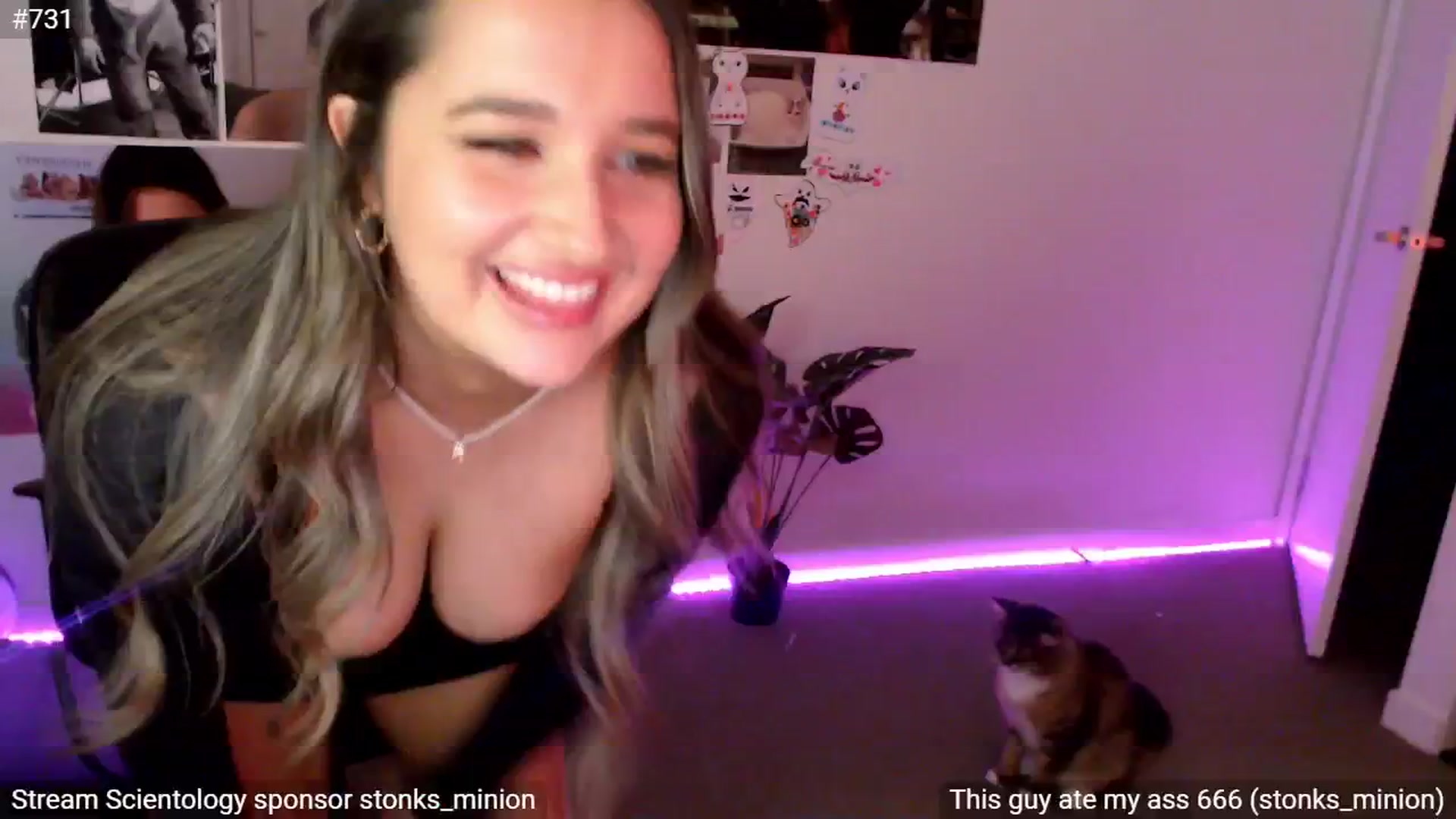 Gallery image thumbnail from StonksRoom's myfreecams stream on, 11/07/2024, 10:04 image 19 of 20