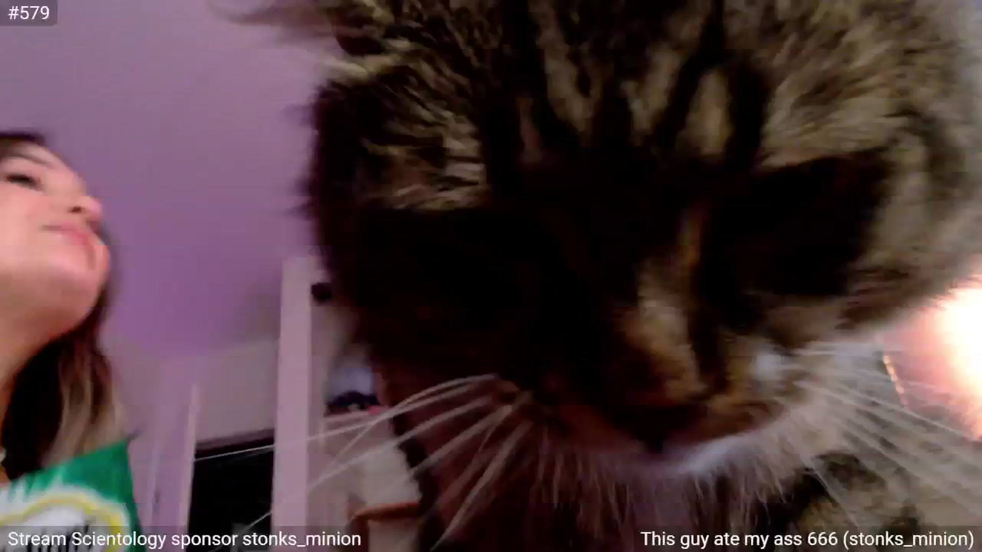 Gallery image thumbnail from StonksRoom's myfreecams stream on, 11/09/2024, 16:15 image 9 of 20