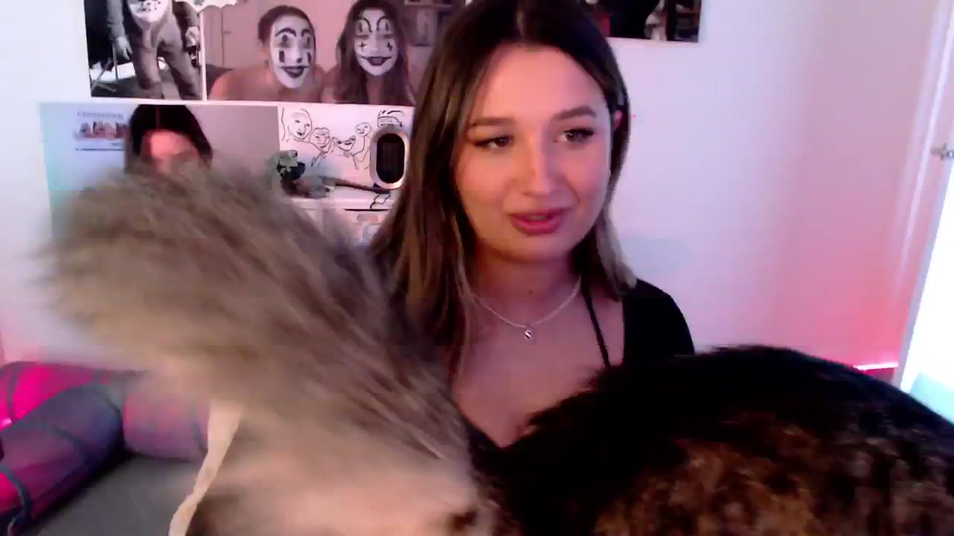 Gallery image thumbnail from StonksRoom's myfreecams stream on, 11/14/2024, 14:39 image 1 of 20