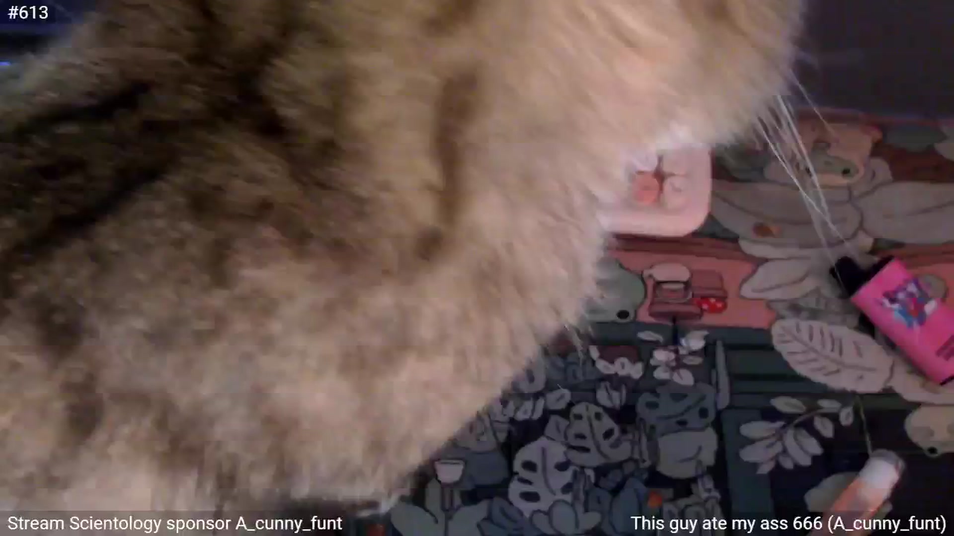 Gallery image thumbnail from StonksRoom's myfreecams stream on, 11/14/2024, 14:47 image 11 of 20