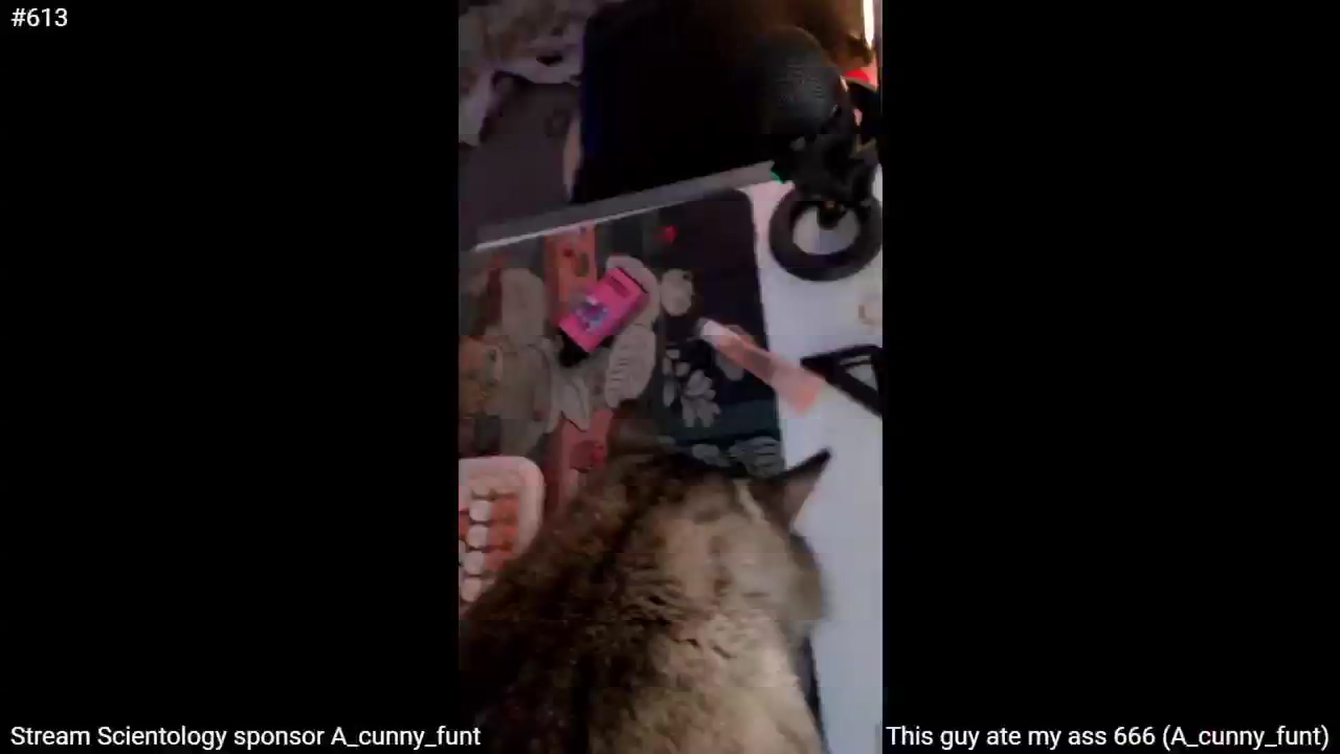 Gallery image thumbnail from StonksRoom's myfreecams stream on, 11/14/2024, 14:47 image 10 of 20
