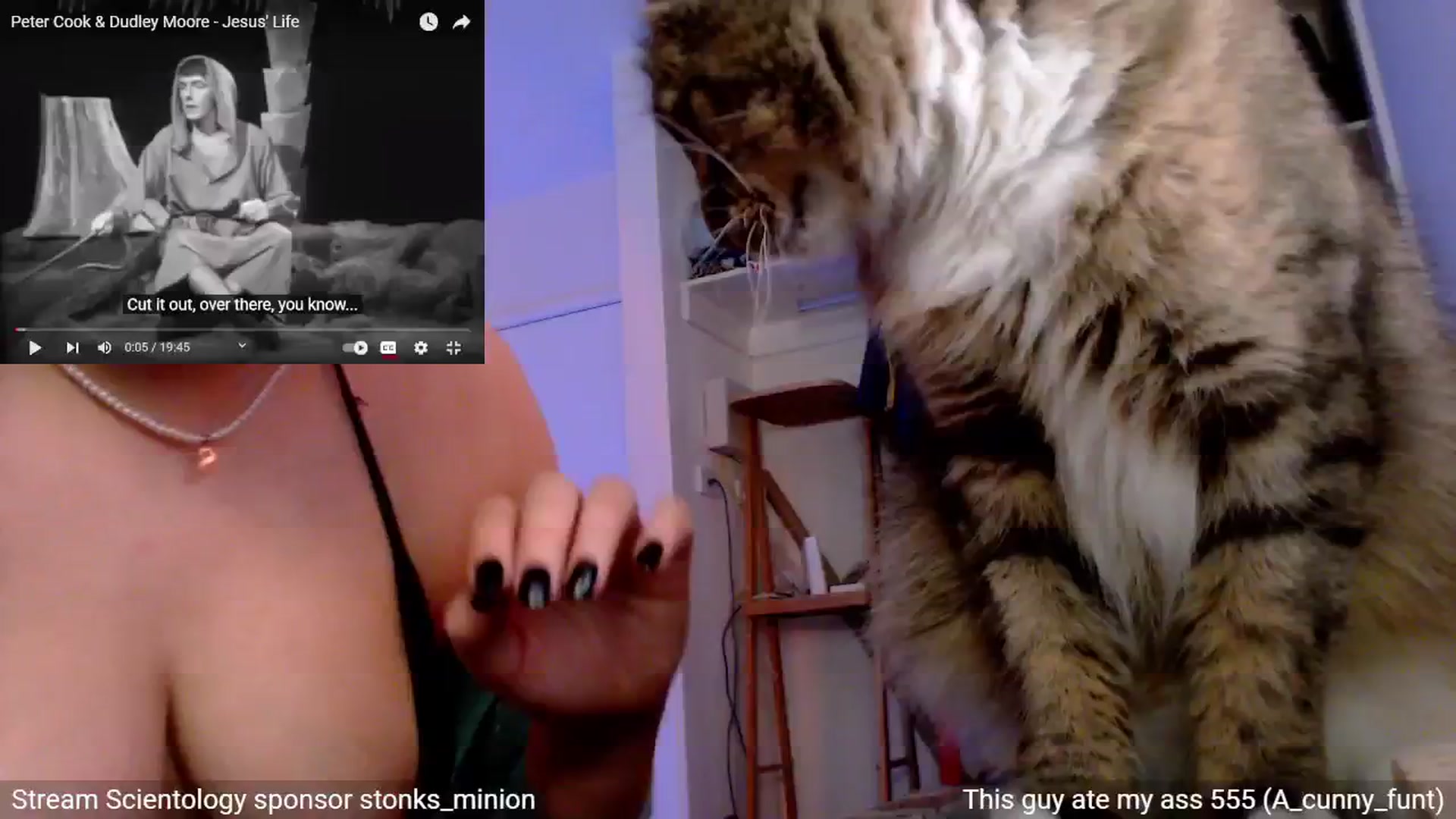 Gallery image thumbnail from StonksRoom's myfreecams stream on, 11/16/2024, 15:42 image 17 of 20