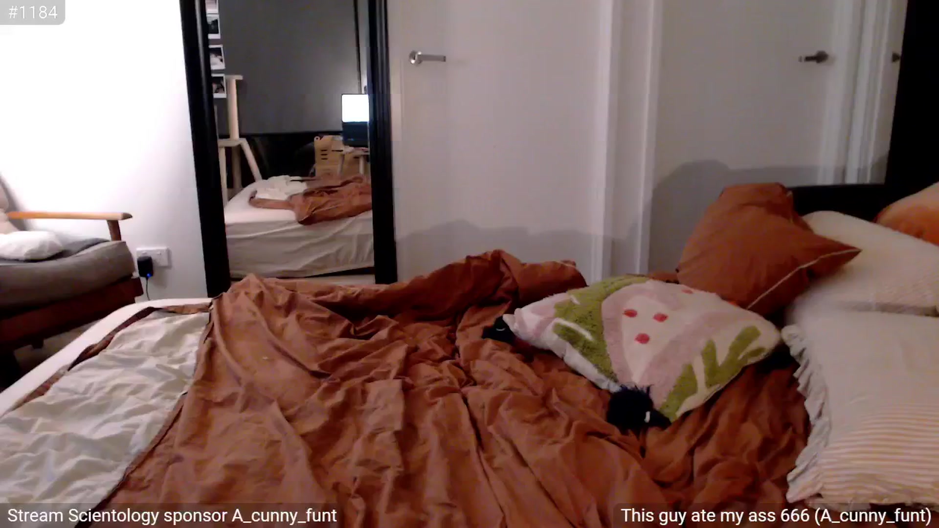 Gallery image thumbnail from StonksRoom's myfreecams stream on, 12/11/2024, 14:07 image 16 of 20
