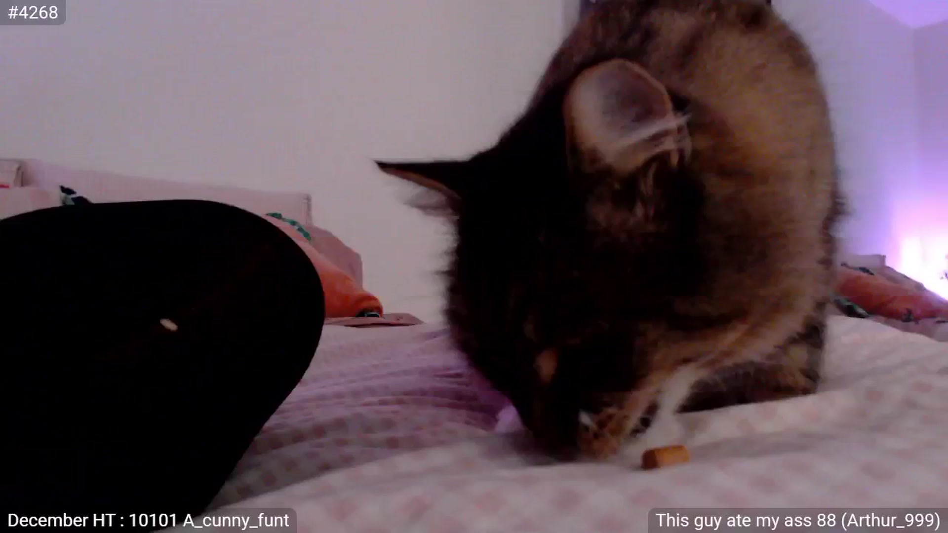 Gallery image thumbnail from StonksRoom's myfreecams stream on, 01/11/2025, 15:33 image 1 of 20