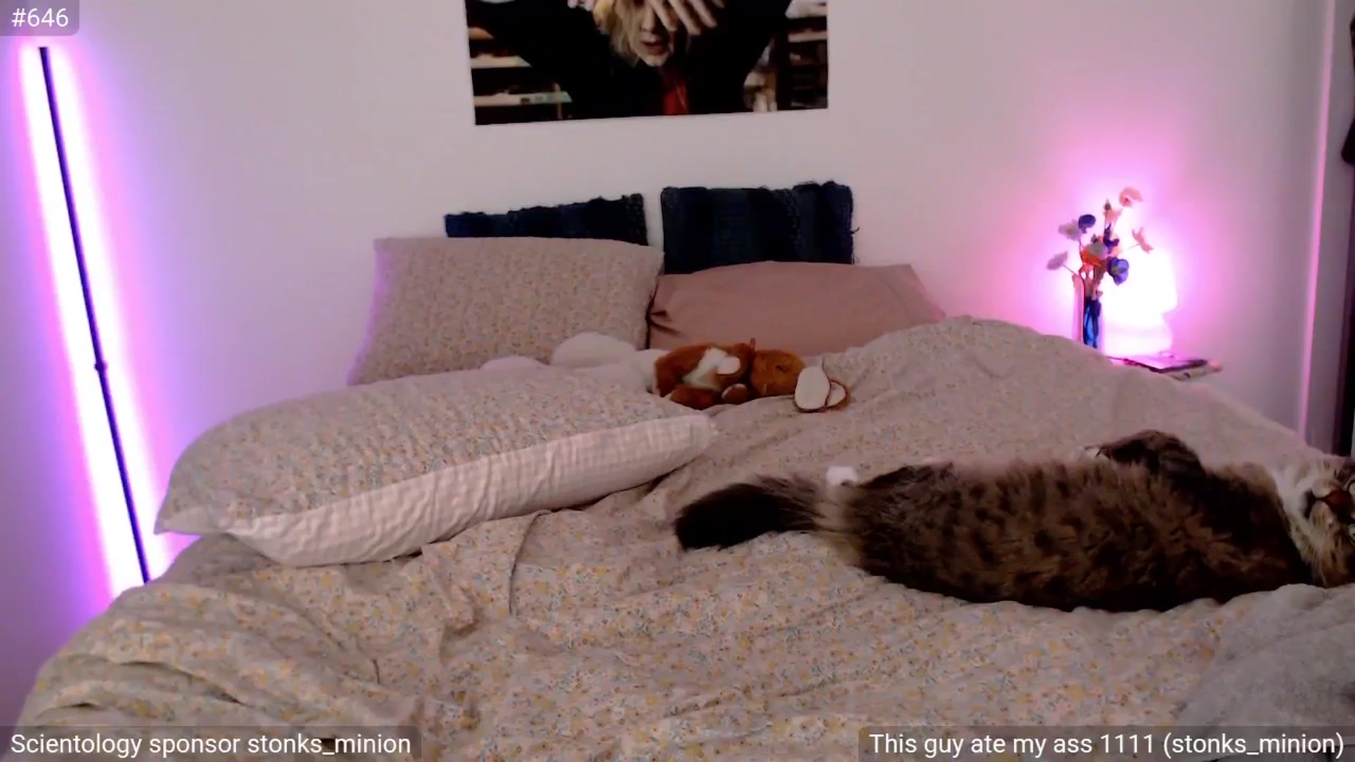 Gallery image thumbnail from StonksRoom's myfreecams stream on, 03/07/2025, 11:24 image 17 of 20