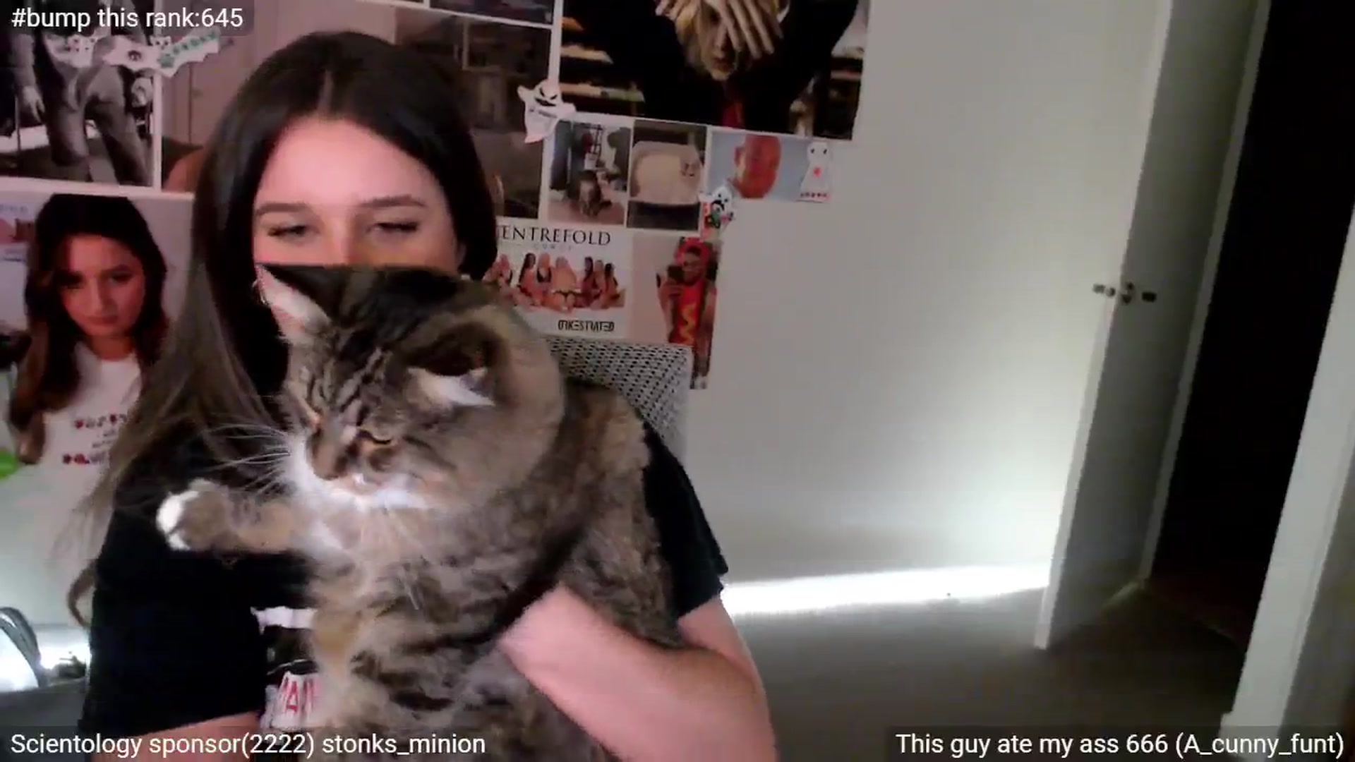 Gallery image thumbnail from StonksRoom's myfreecams stream on, 03/28/2025, 14:06 image 19 of 20