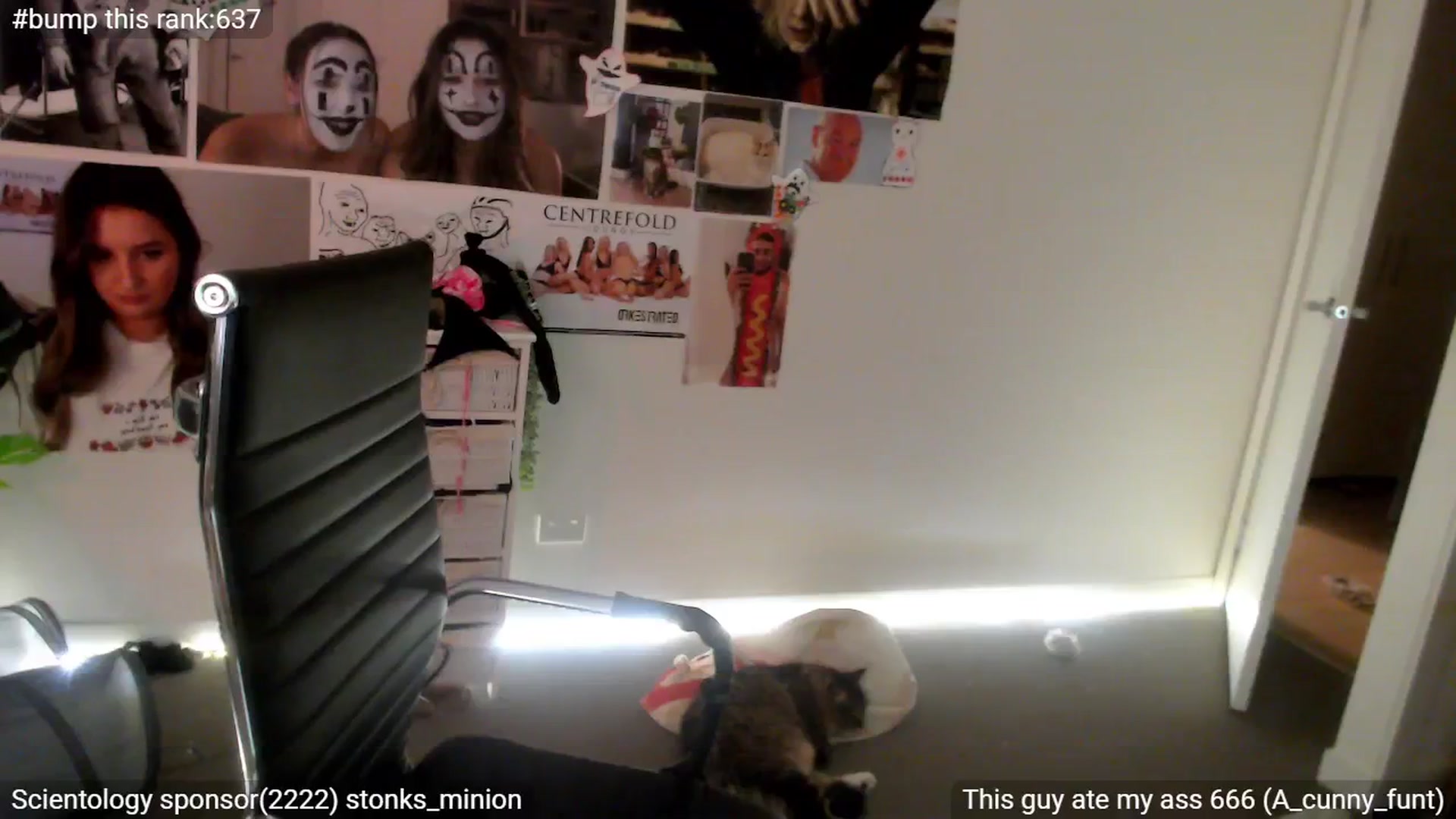 Gallery image thumbnail from StonksRoom's myfreecams stream on, 03/28/2025, 16:59 image 18 of 20