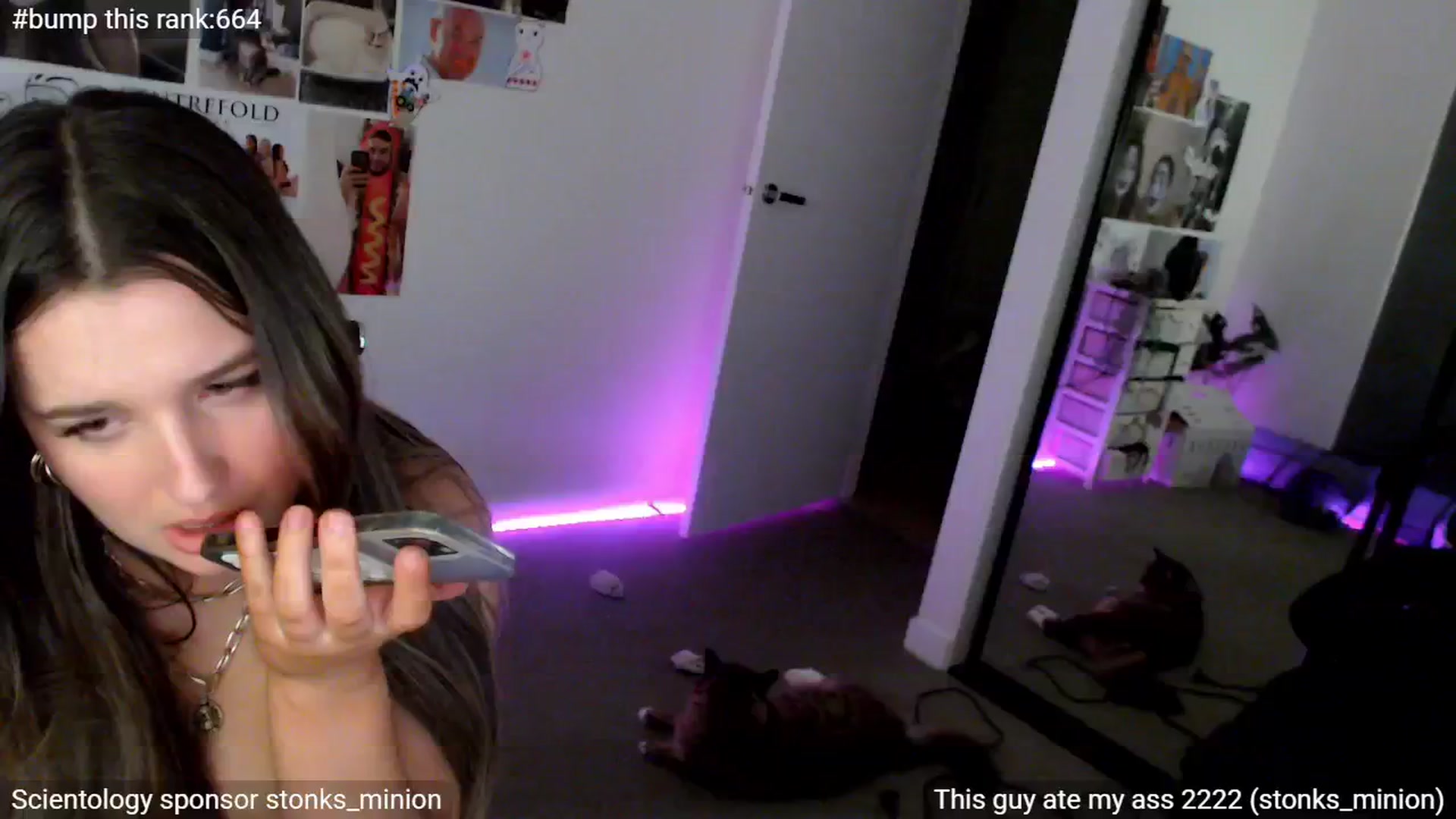 Gallery image thumbnail from StonksRoom's myfreecams stream on, 04/10/2025, 15:20 image 20 of 20